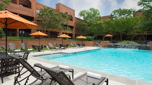 Seasonal outdoor pool, pool umbrellas, sun loungers