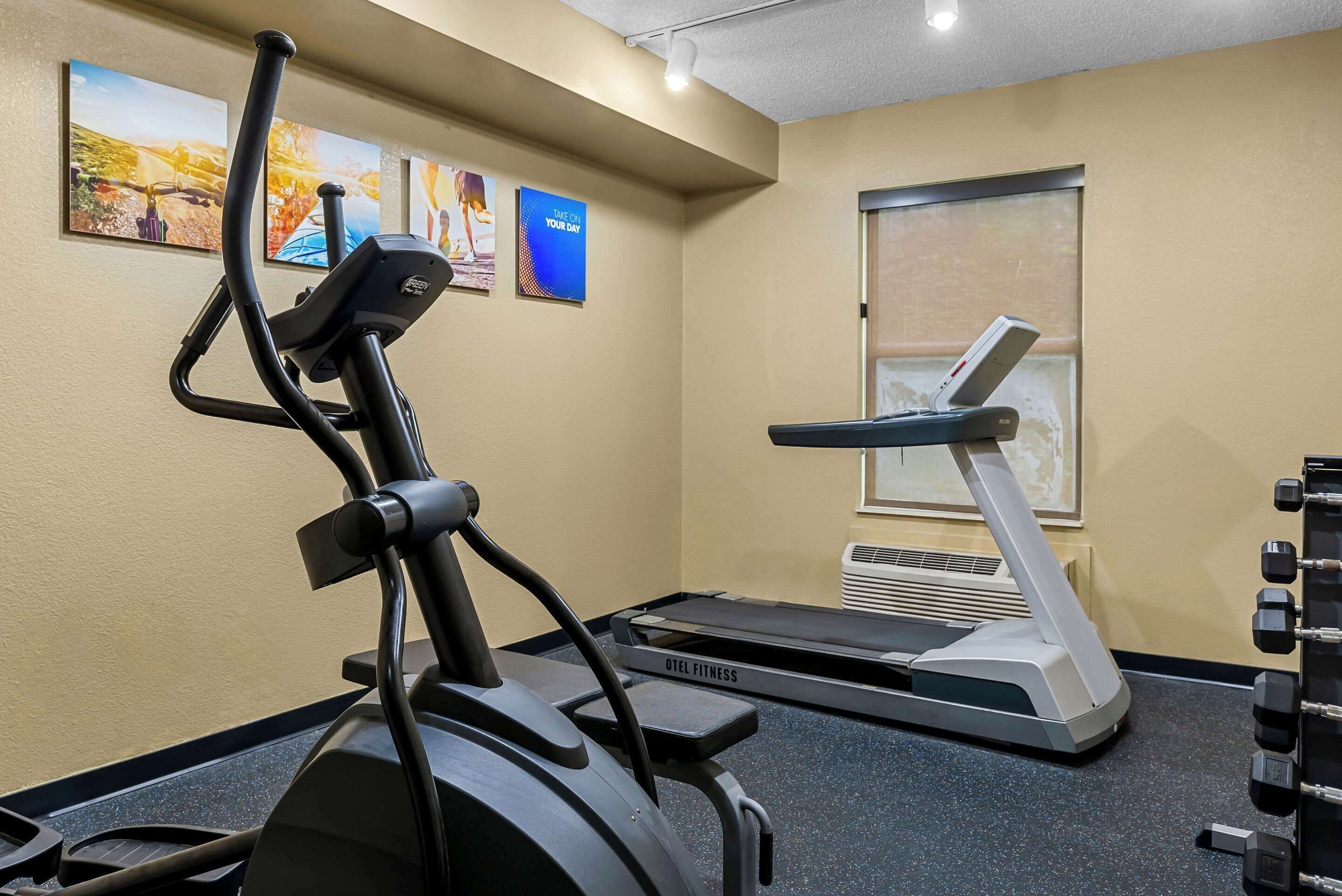A gym with an elliptical machine, a treadmill, and a set of dumbbells.
