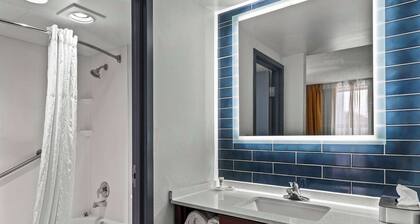 Comfort Inn & Suites Staunton