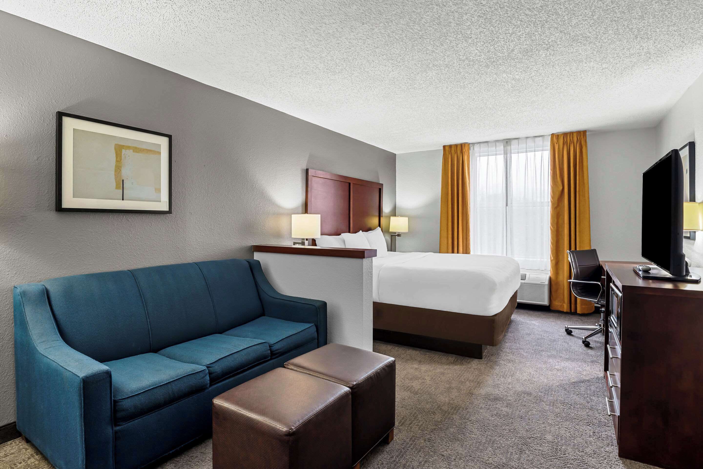 Habitación de hotel con cama, sofá azul, mesita de noche de madera, escritorio con silla y televisor.