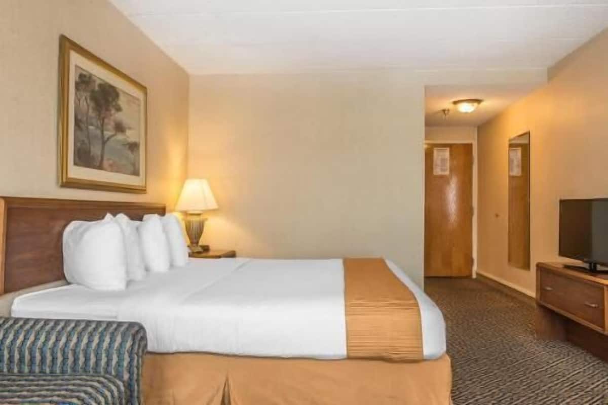 A hotel room with a bed, a nightstand with a lamp, a television, and a framed picture on the wall.