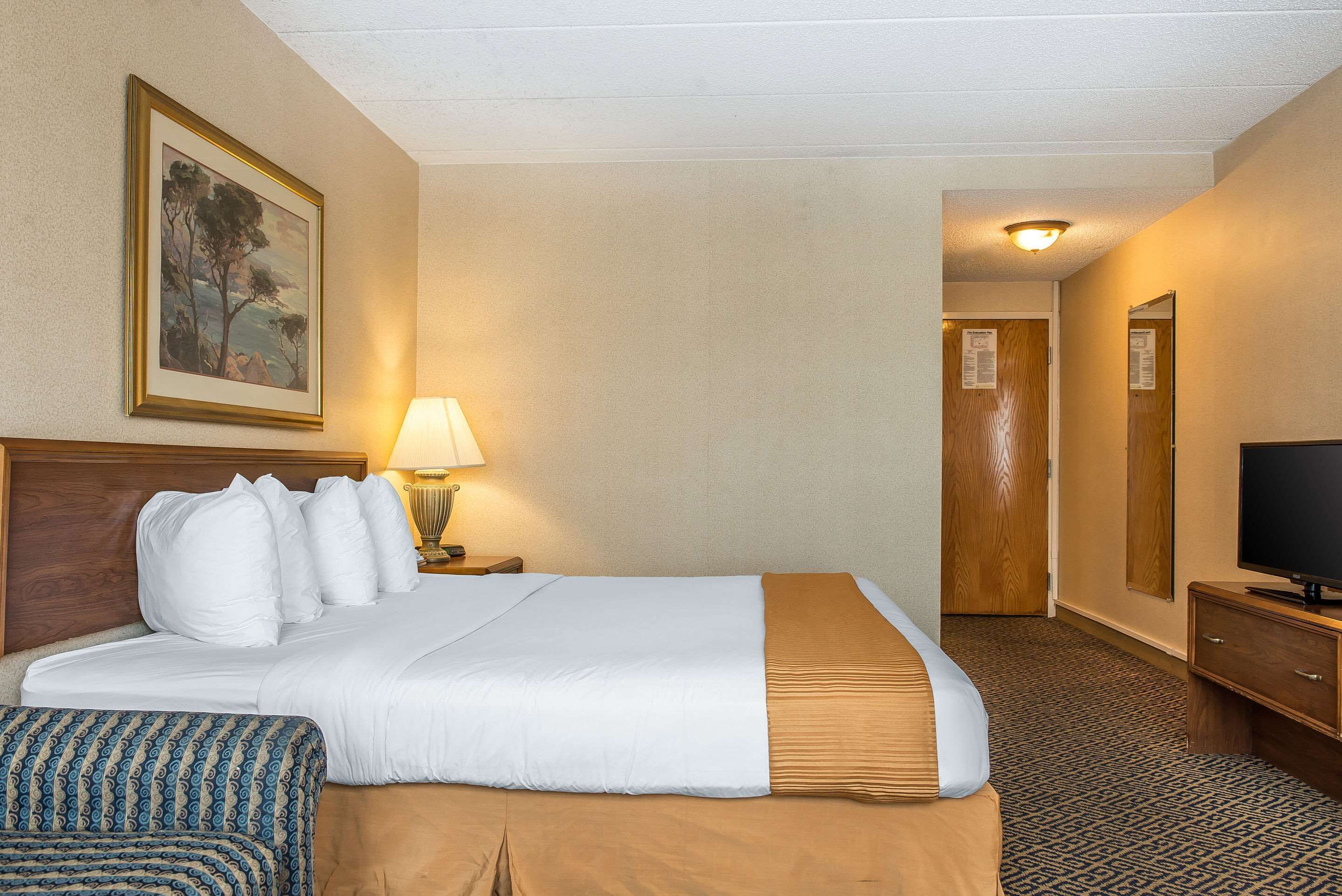 A hotel room with a large bed, a bedside lamp, a television, and a framed painting on the wall.