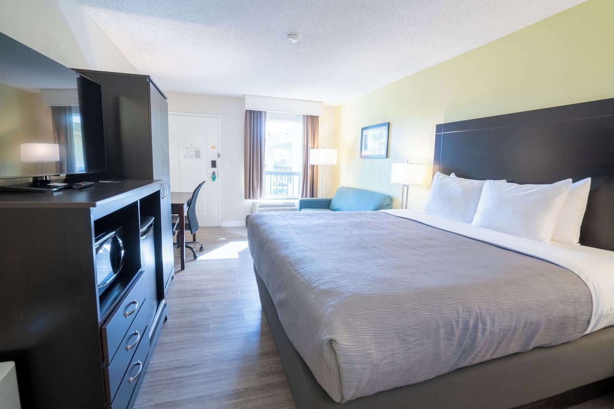 standard room, 1 king bed with sofa bed, non smoking | desk, laptop workspace, blackout curtains, iron/ironing board