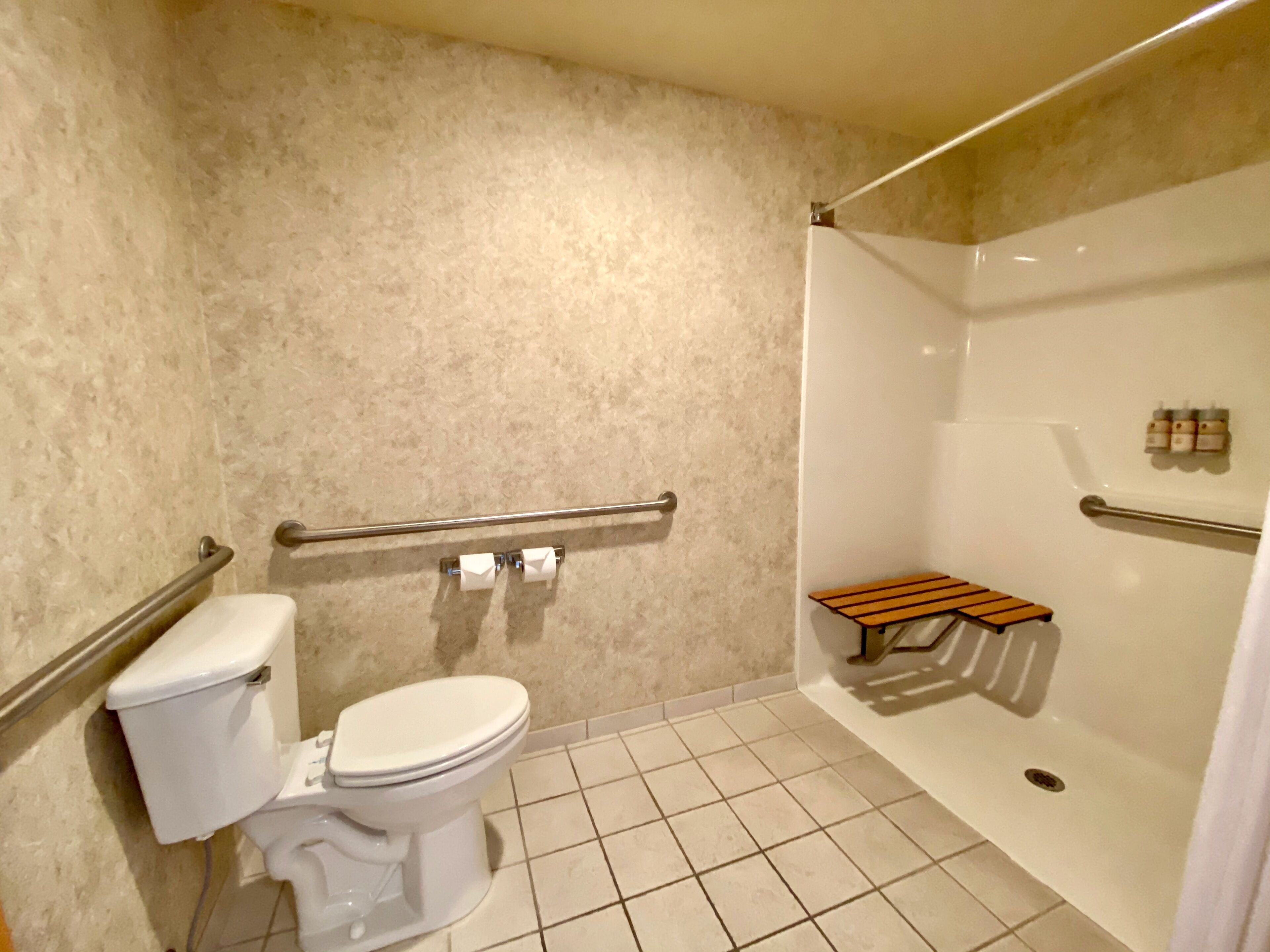 Ein Badezimmer mit Toilette, einer Dusche mit Sitzbank und Haltegriffen.