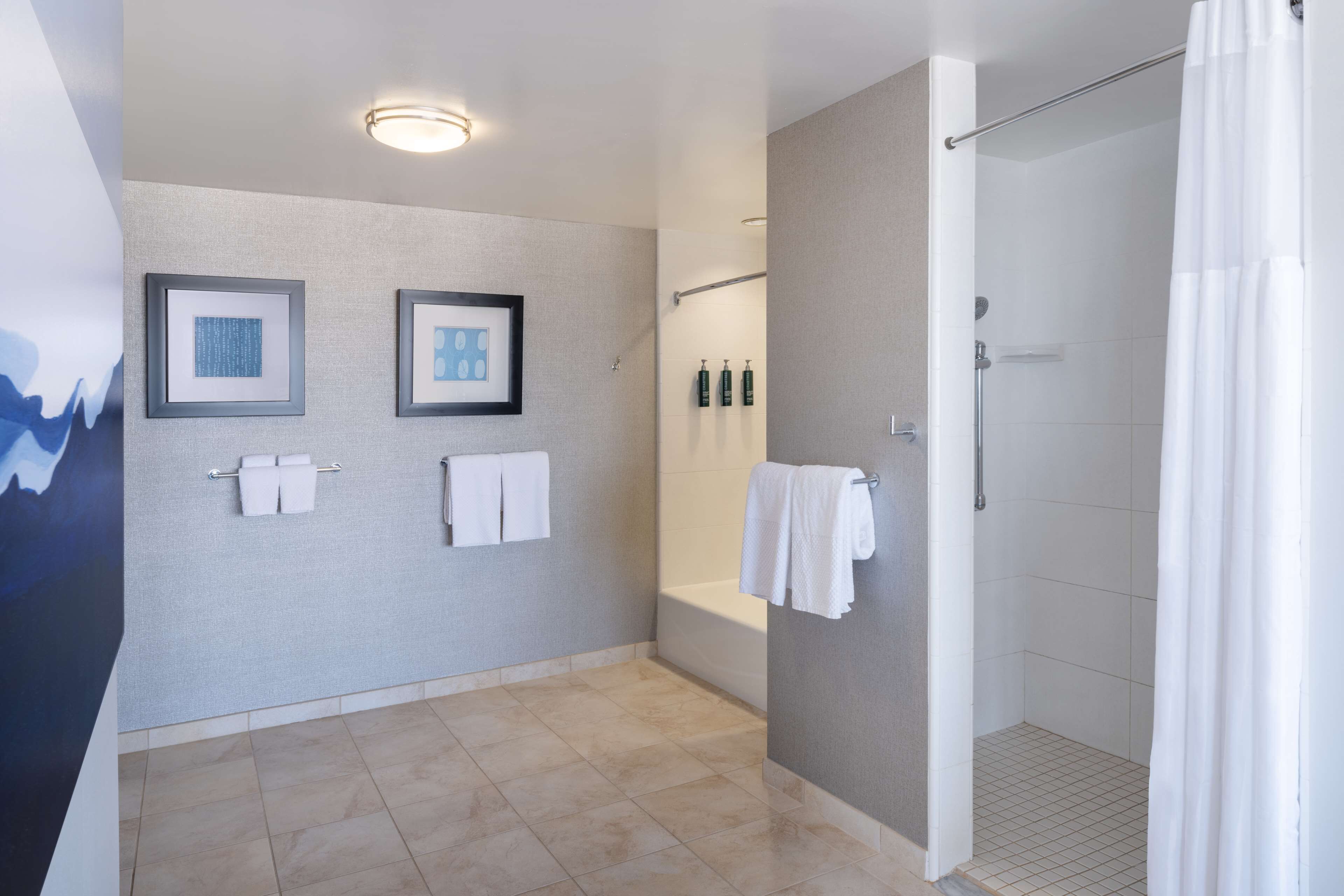 A modern bathroom with a shower, bathtub, and toilet. There are framed pictures on the wall, a towel rack, and a ceiling light.