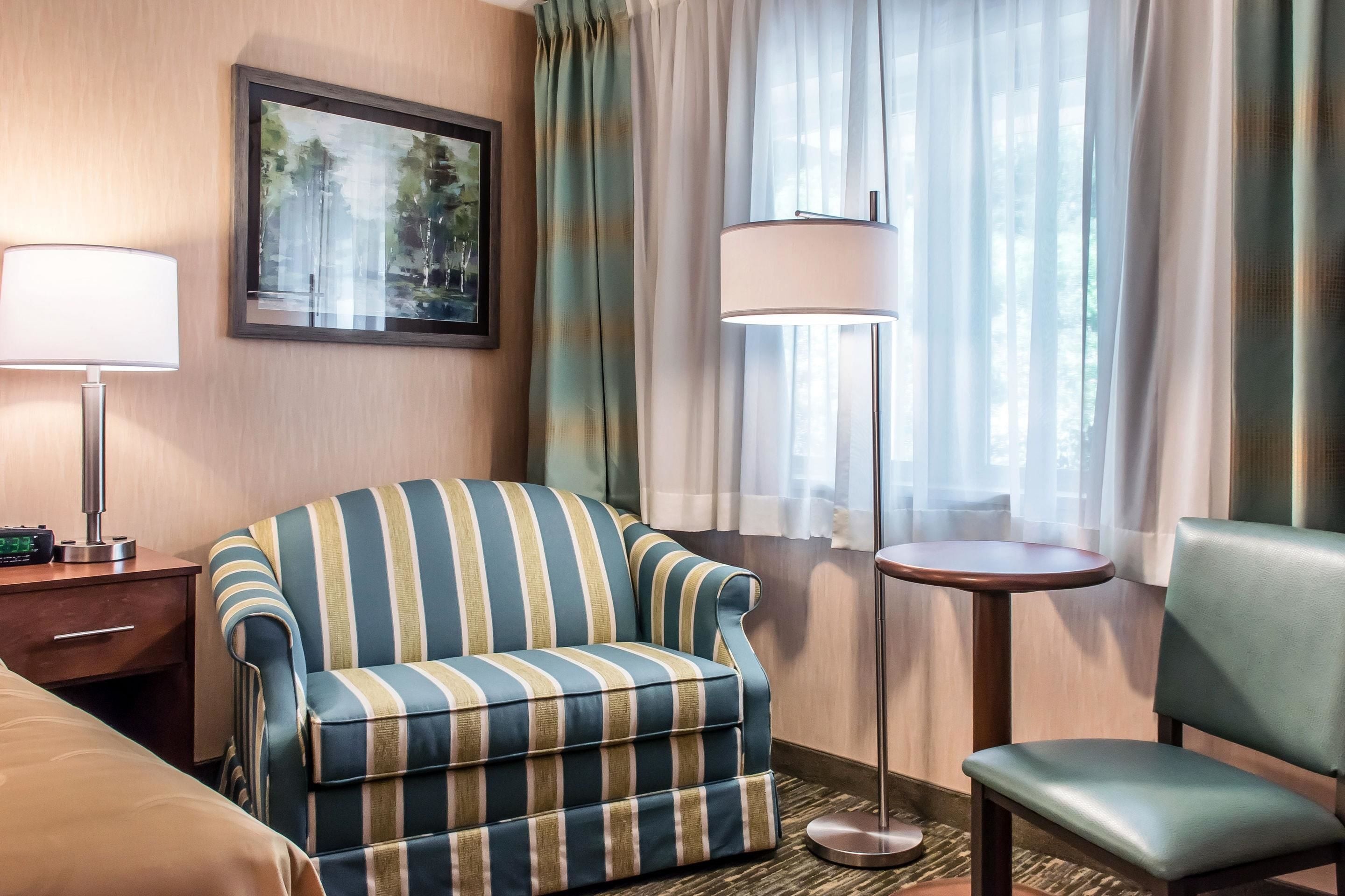 Standard Room, 1 King Bed with Sofa bed, Non Smoking (No Pets)