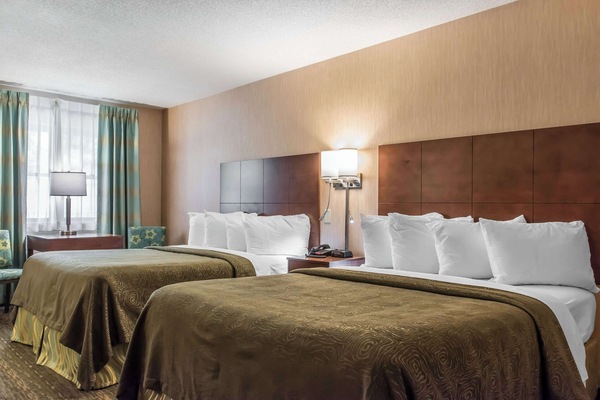 Standard Room, 2 Queen Beds, Non Smoking | Desk, blackout drapes, iron/ironing board, free cribs/infant beds