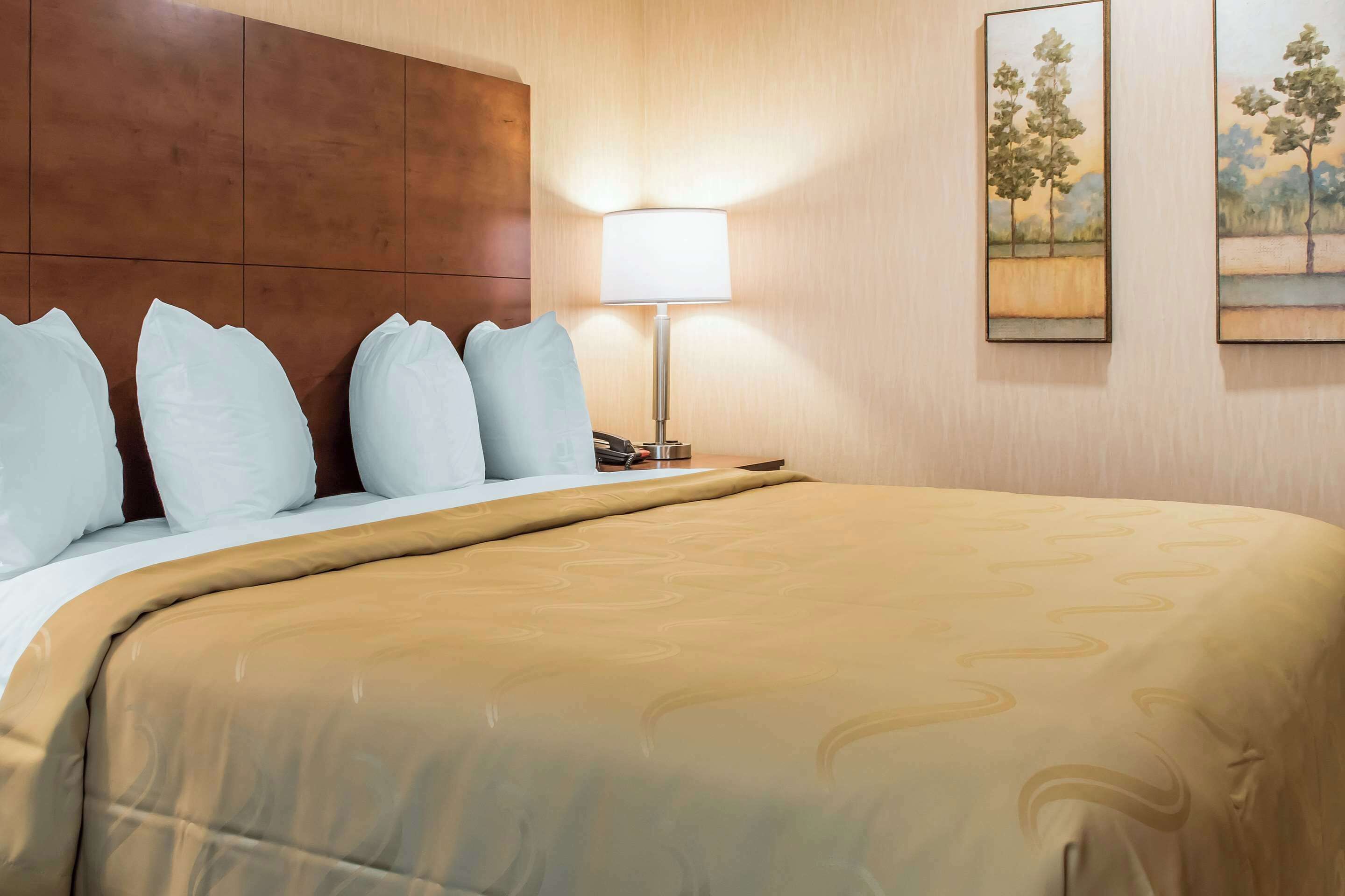 Habitación de hotel con una cama grande, cabecera de madera, lámpara de noche y dos cuadros de paisajes en la pared.