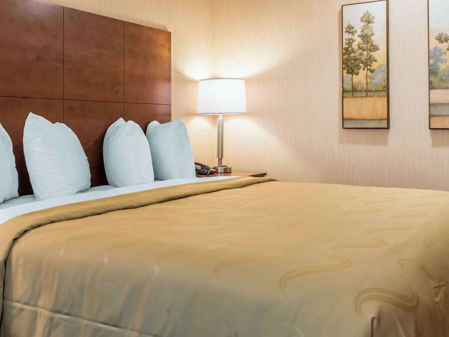 Habitación de hotel con una cama grande, cabecera de madera, lámpara de noche y dos cuadros de paisajes en la pared.