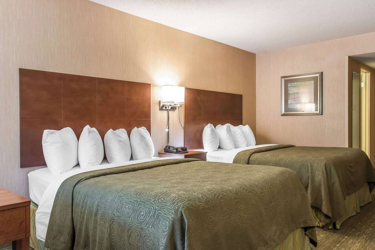 A hotel room with two beds, a nightstand, a lamp, and a framed picture on the wall.