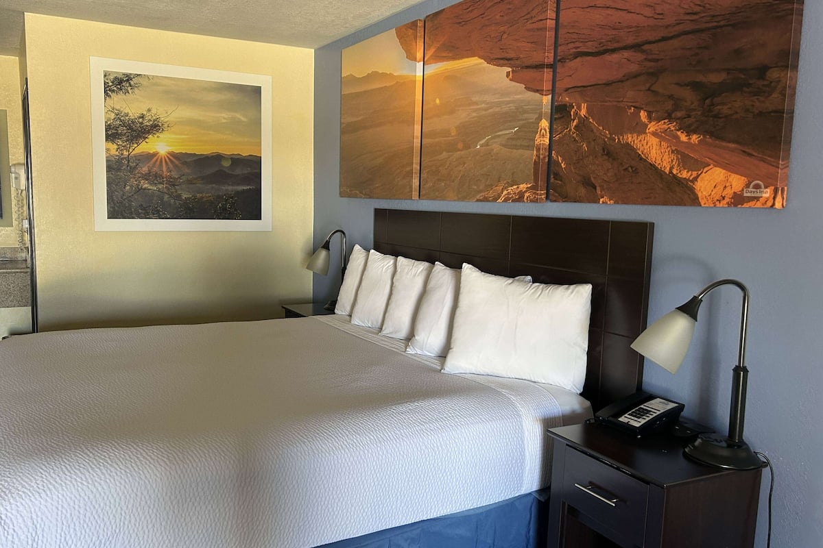 Room, 1 King Bed, Non Smoking | 1 bedroom, pillowtop beds, desk, blackout drapes