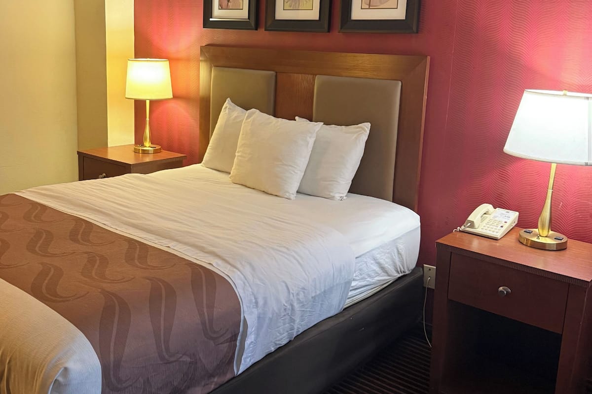 Een hotelkamer met een bed, nachtkastje met een lamp, telefoon en een muur met ingelijste foto’s.
