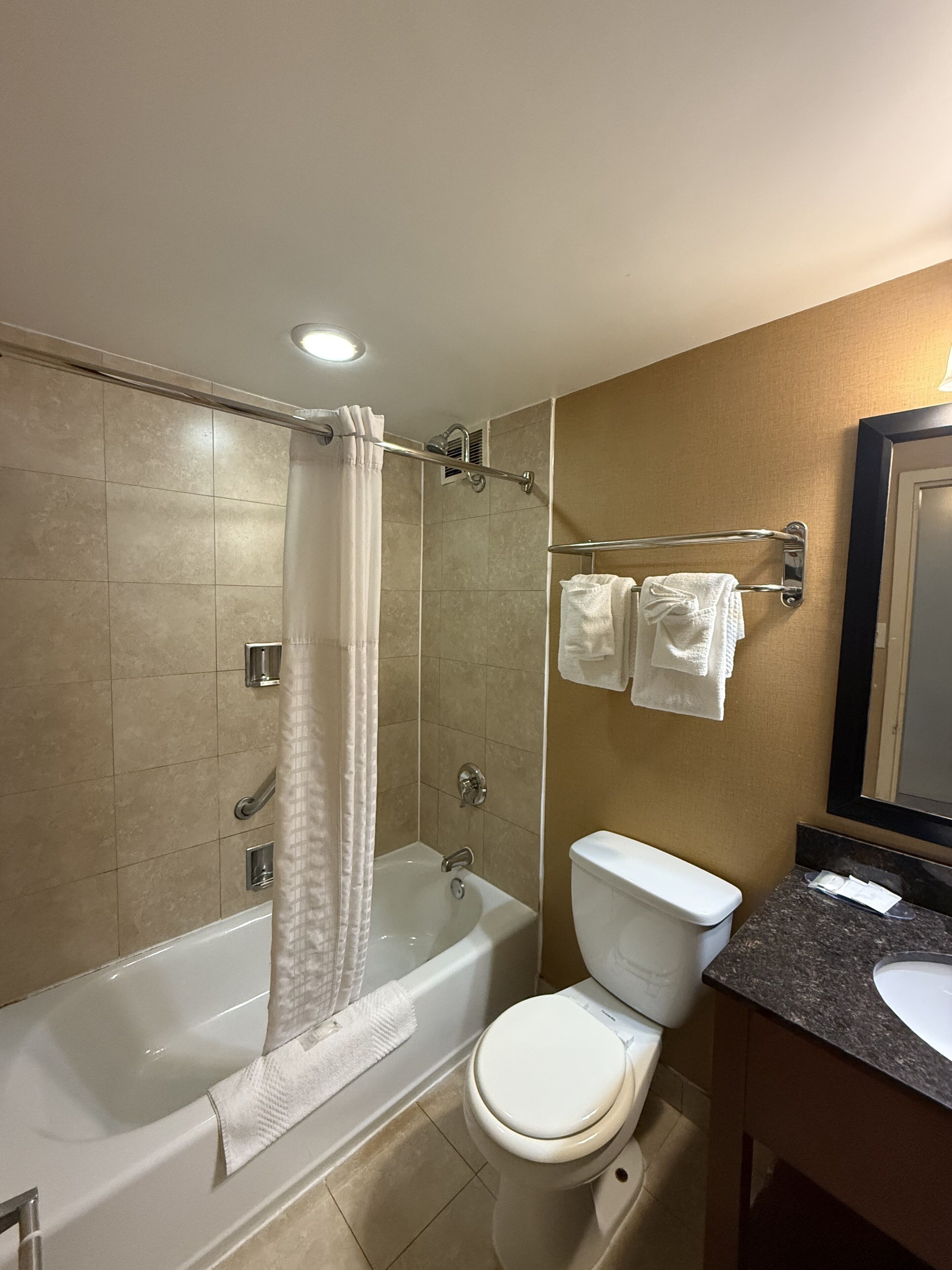 Combined shower/bathtub, free toiletries, hair dryer, towels