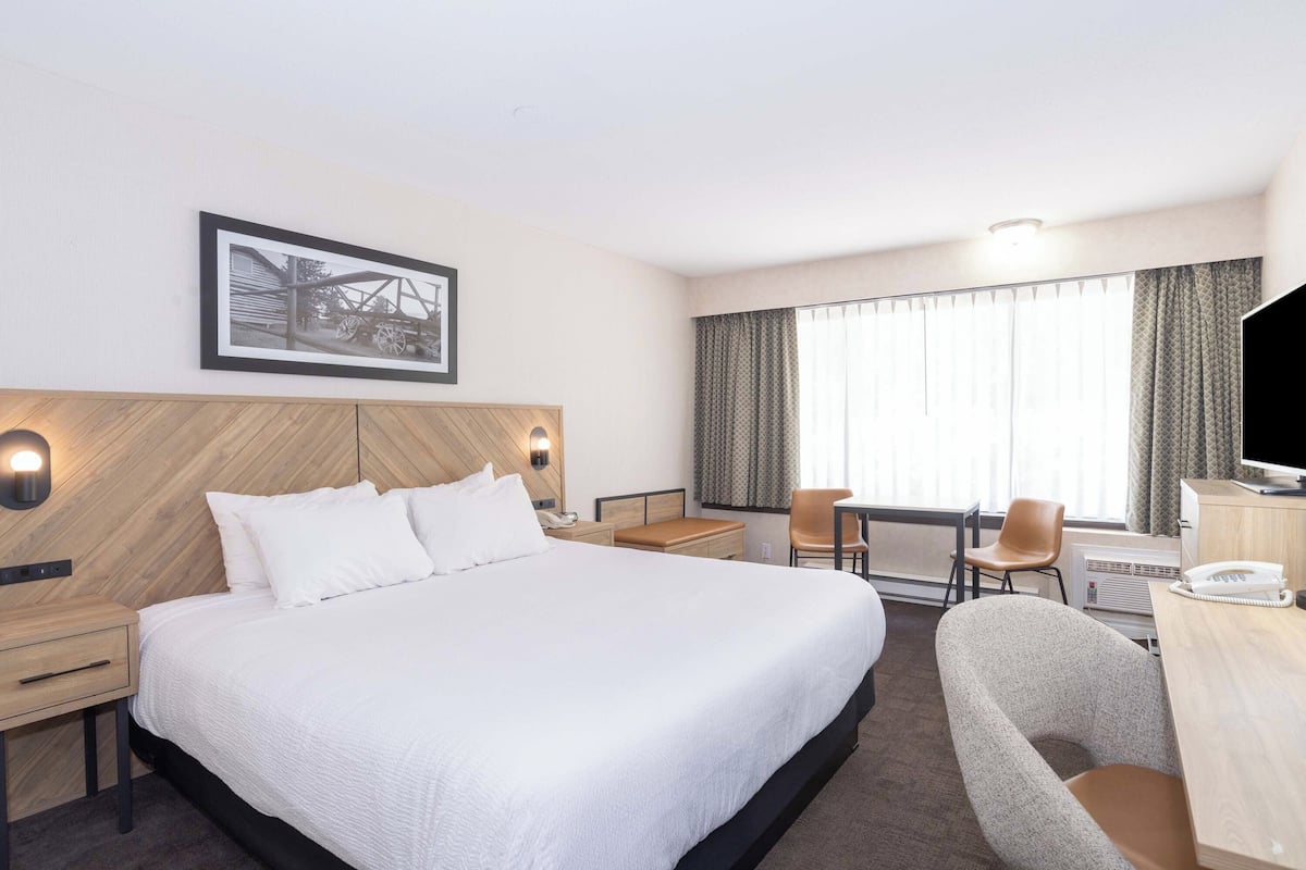 Habitación de hotel con una cama grande, un escritorio con silla, un televisor y un cuadro en la pared.