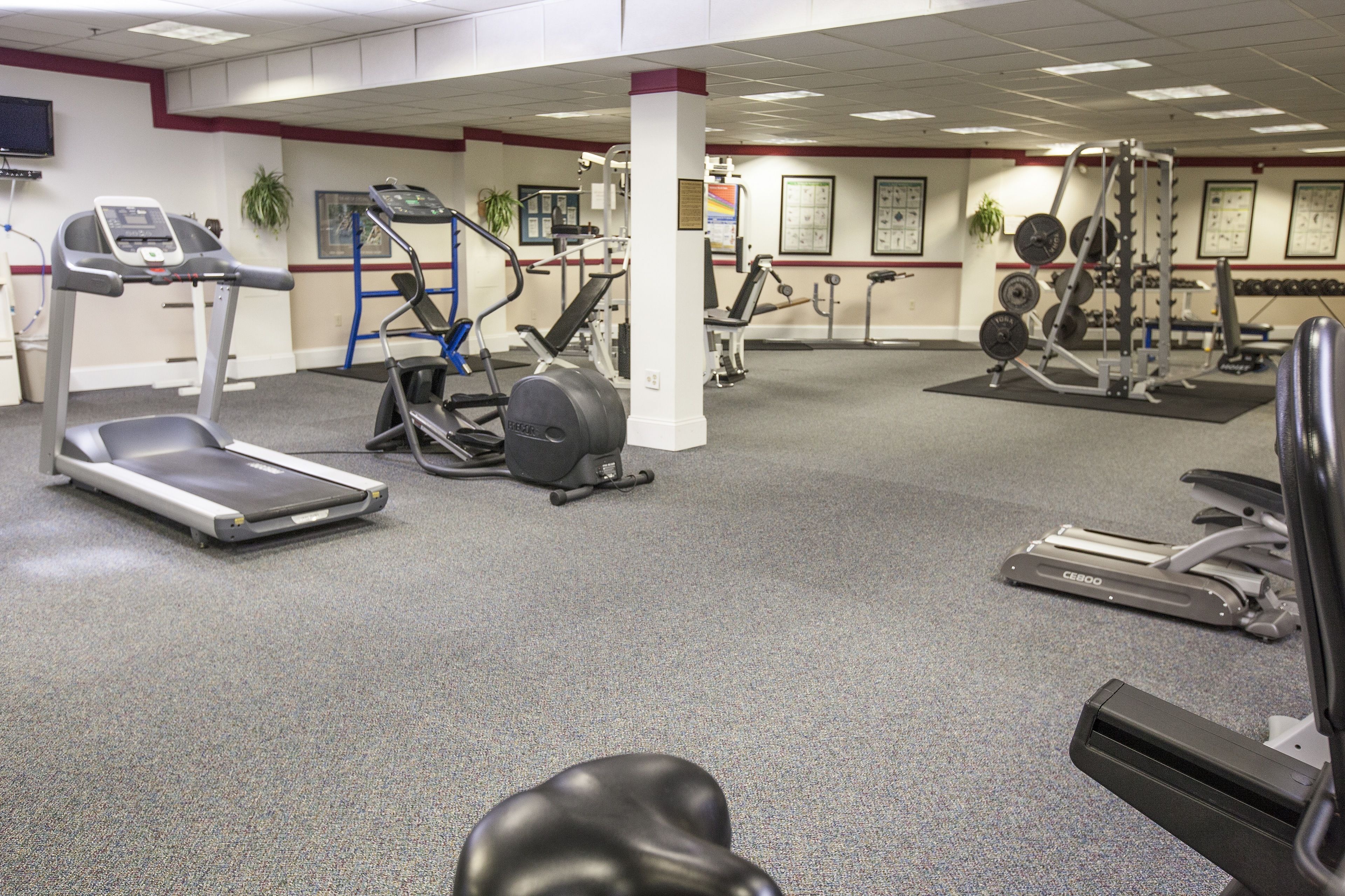 Een fitnessruimte met loopbanden, elliptische trainers en gewichten.