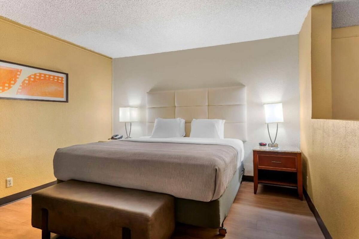 A hotel room with a bed, bedside lamps, a nightstand, and a wall-mounted artwork.