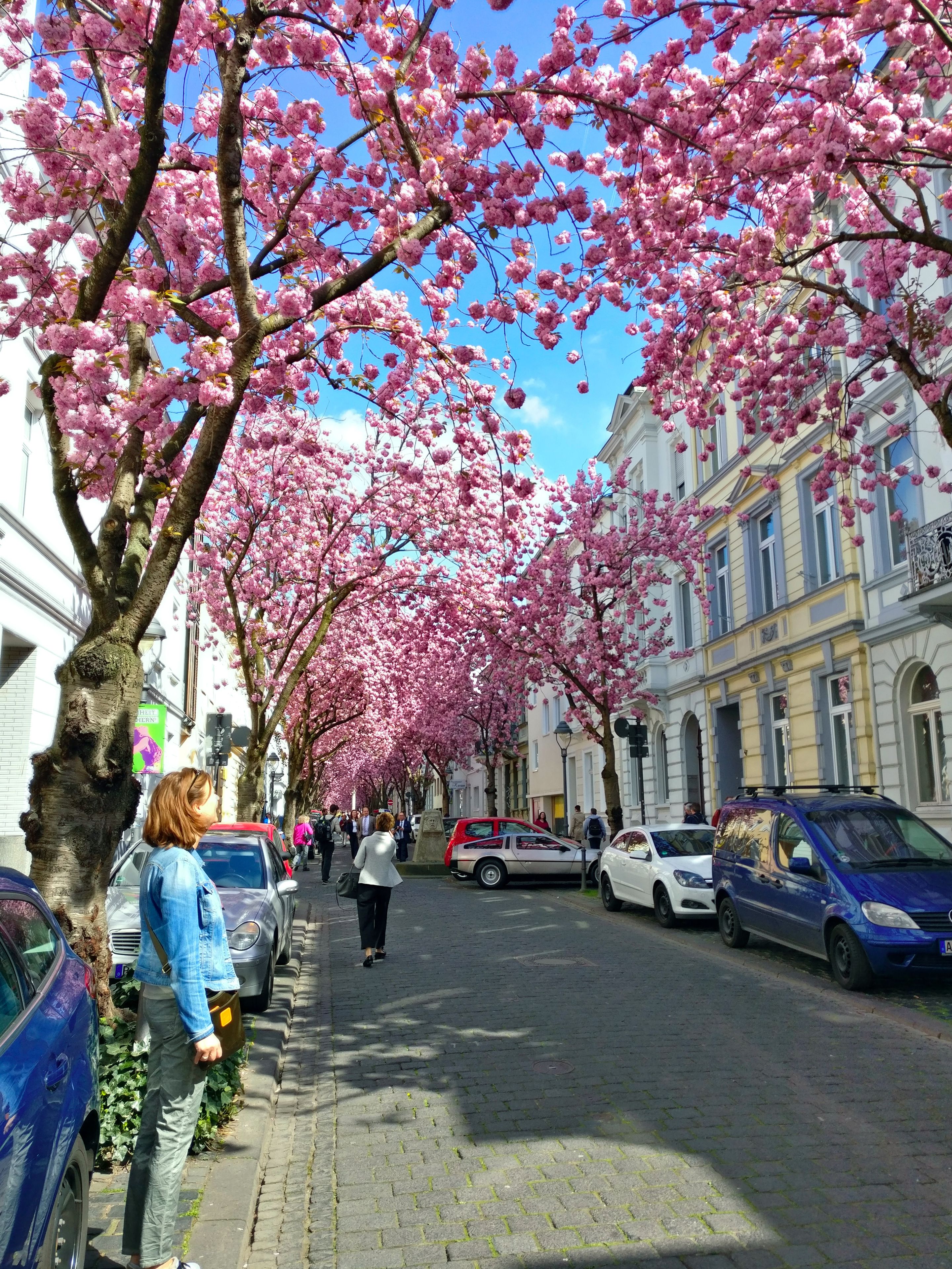 comfort apartment, 1 bedroom, city view | view from room