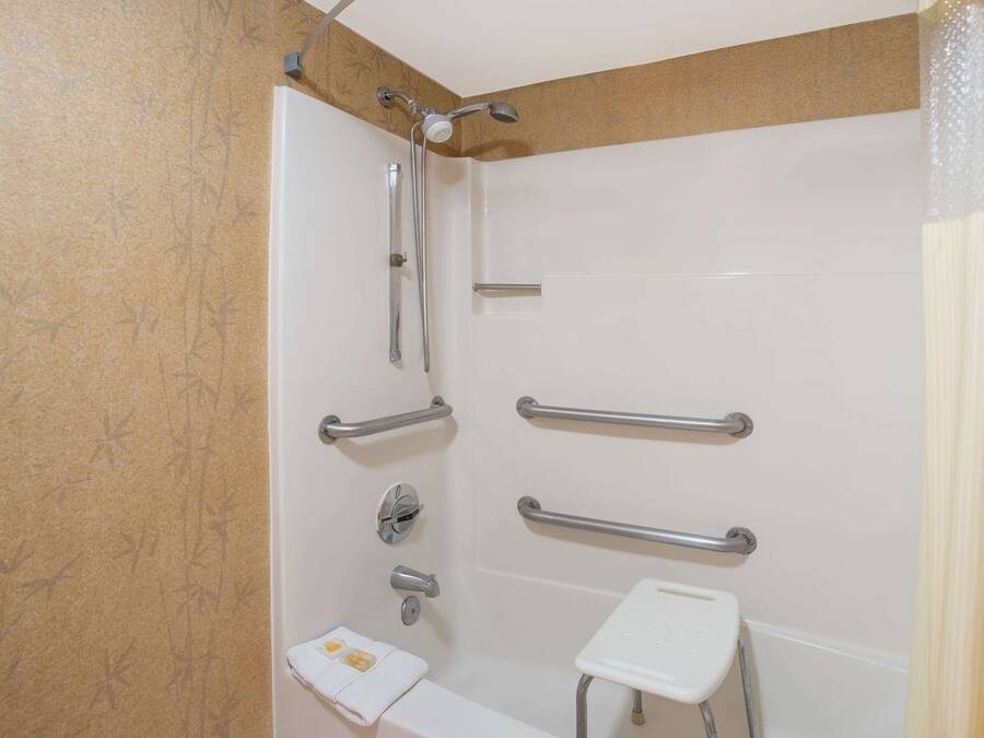 A bathroom with a shower, grab bars, a toilet, and a small sink.