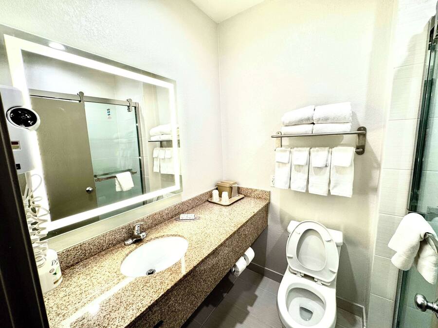 A hotel bathroom with a sink, mirror, toilet, and towel rack.