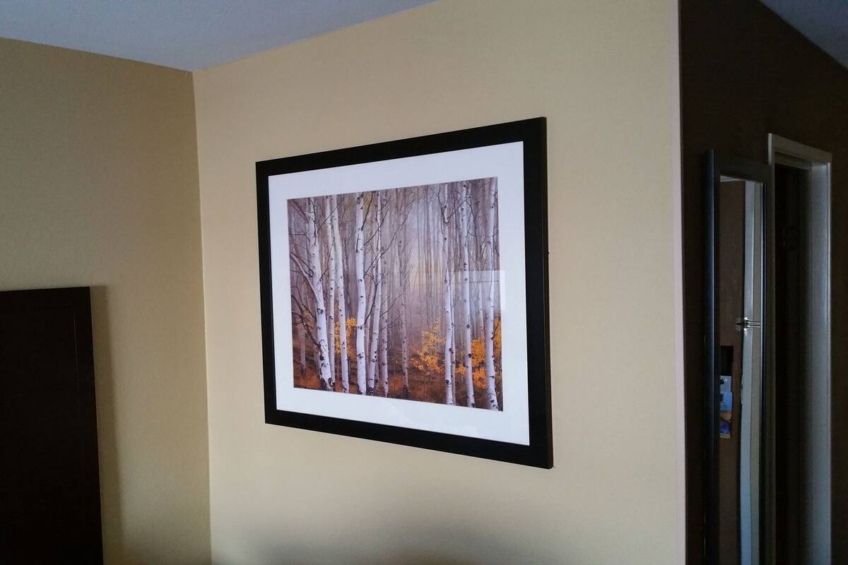 A framed picture of birch trees on a wall.