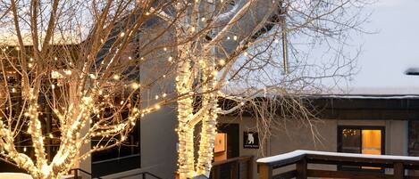 A group of people seated at a wooden table outdoors, surrounded by snow and decorated trees.
