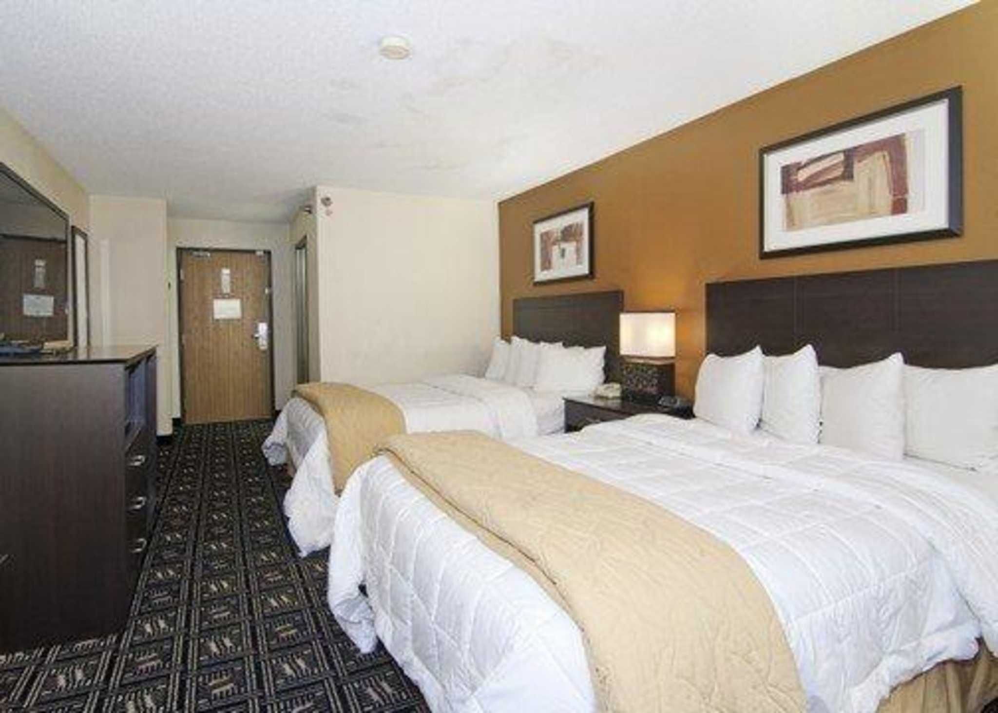 Een hotelkamer met twee bedden, een bureau en een kamerbreed tapijt met een patroon.