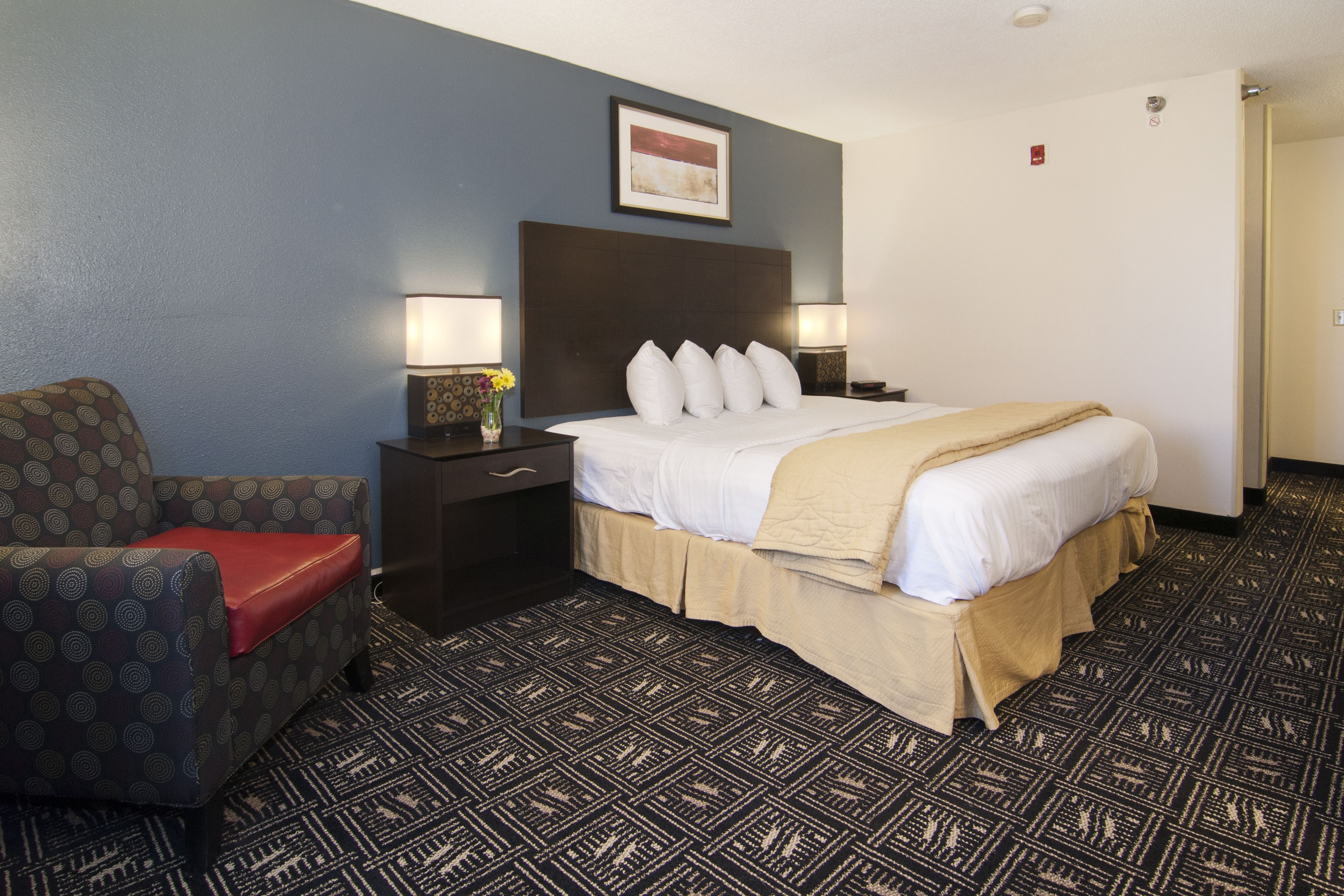 A hotel room with a bed, a nightstand, a lamp, a chair, and a patterned carpet.