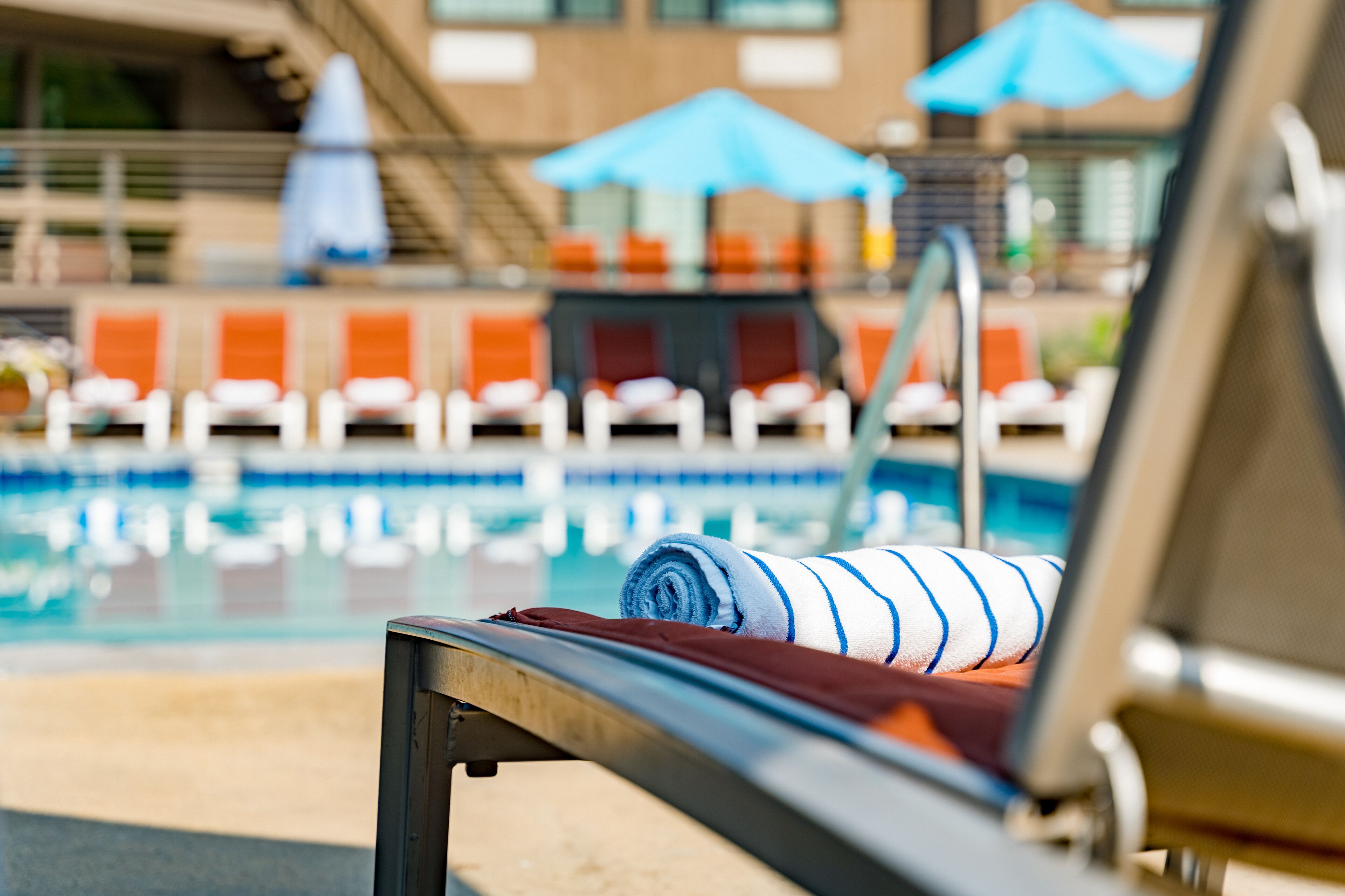 Outdoor pool, pool loungers