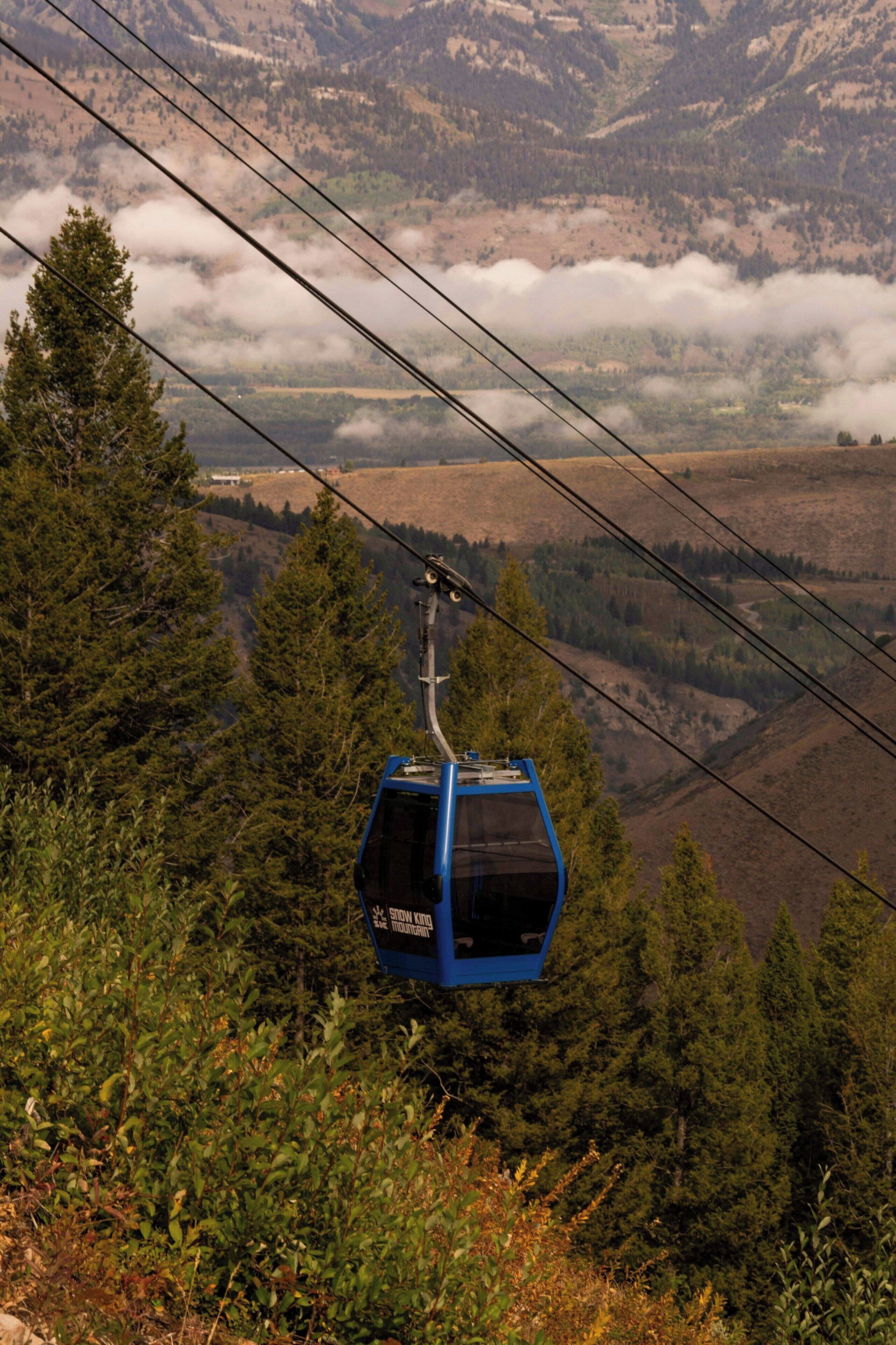 Un teleférico suspendido sobre un paisaje montañoso con bosques densos abajo.