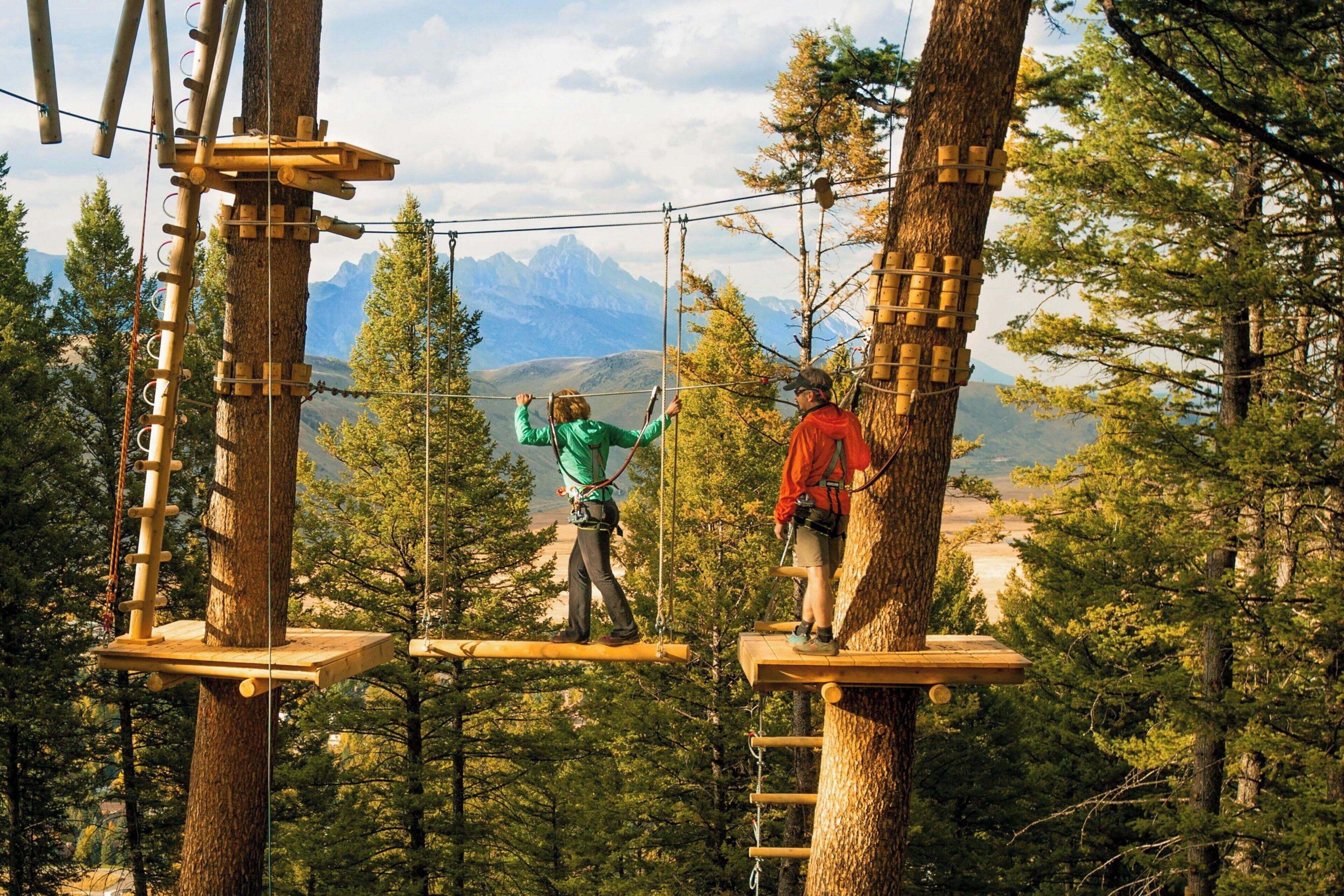 Two individuals on a suspended wooden platform in a forested area with a mountainous backdrop.