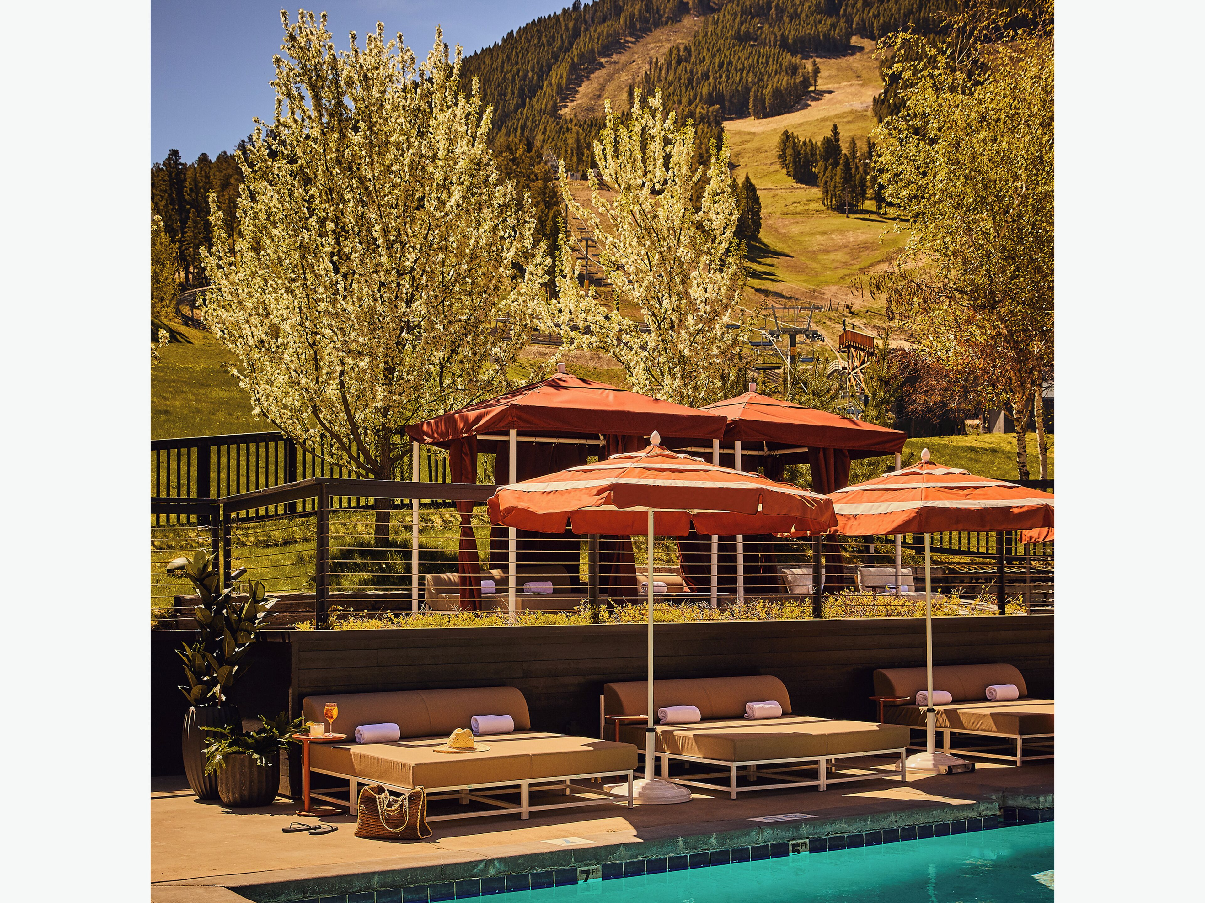 Outdoor pool, pool loungers