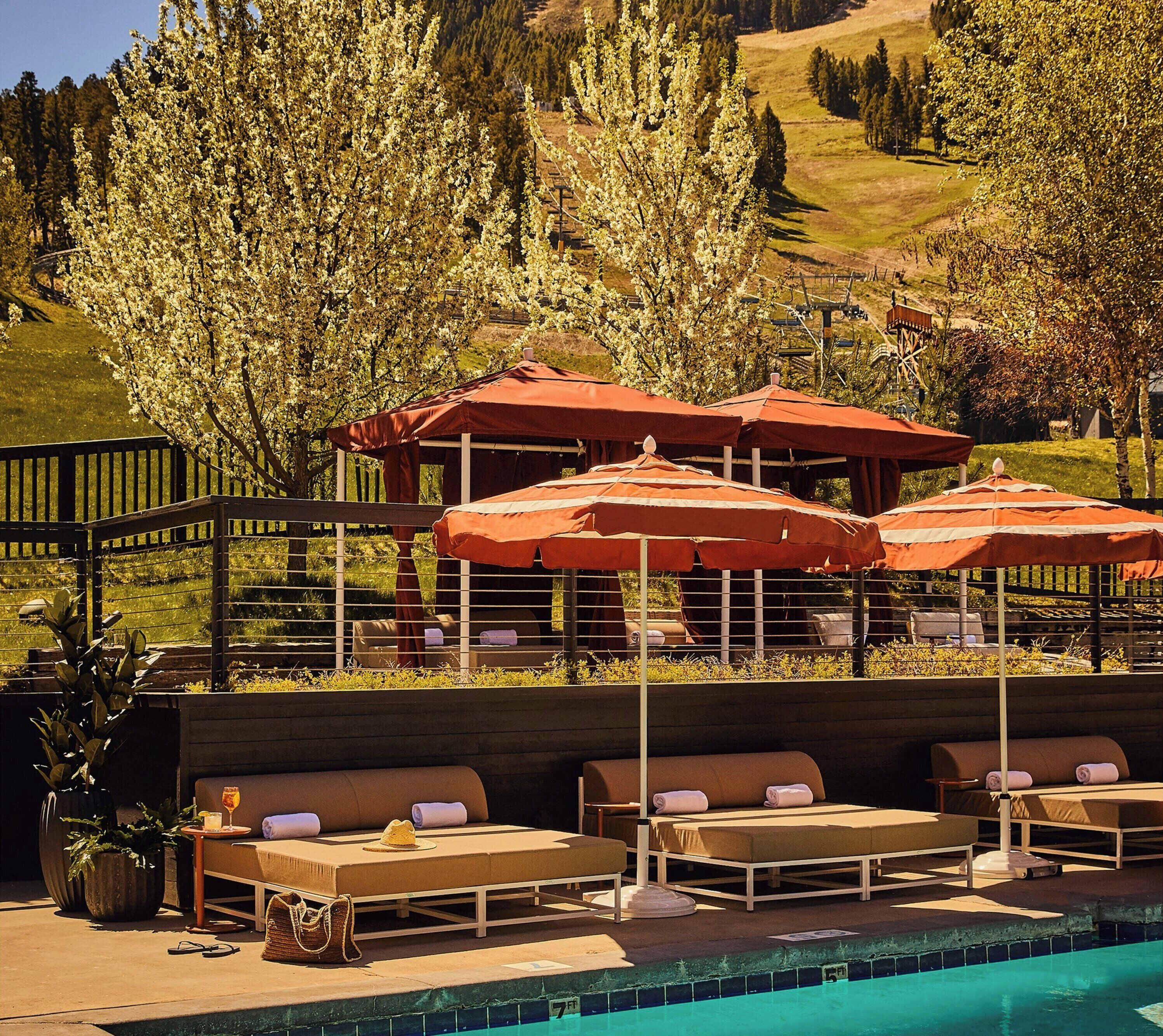 Outdoor pool, sun loungers