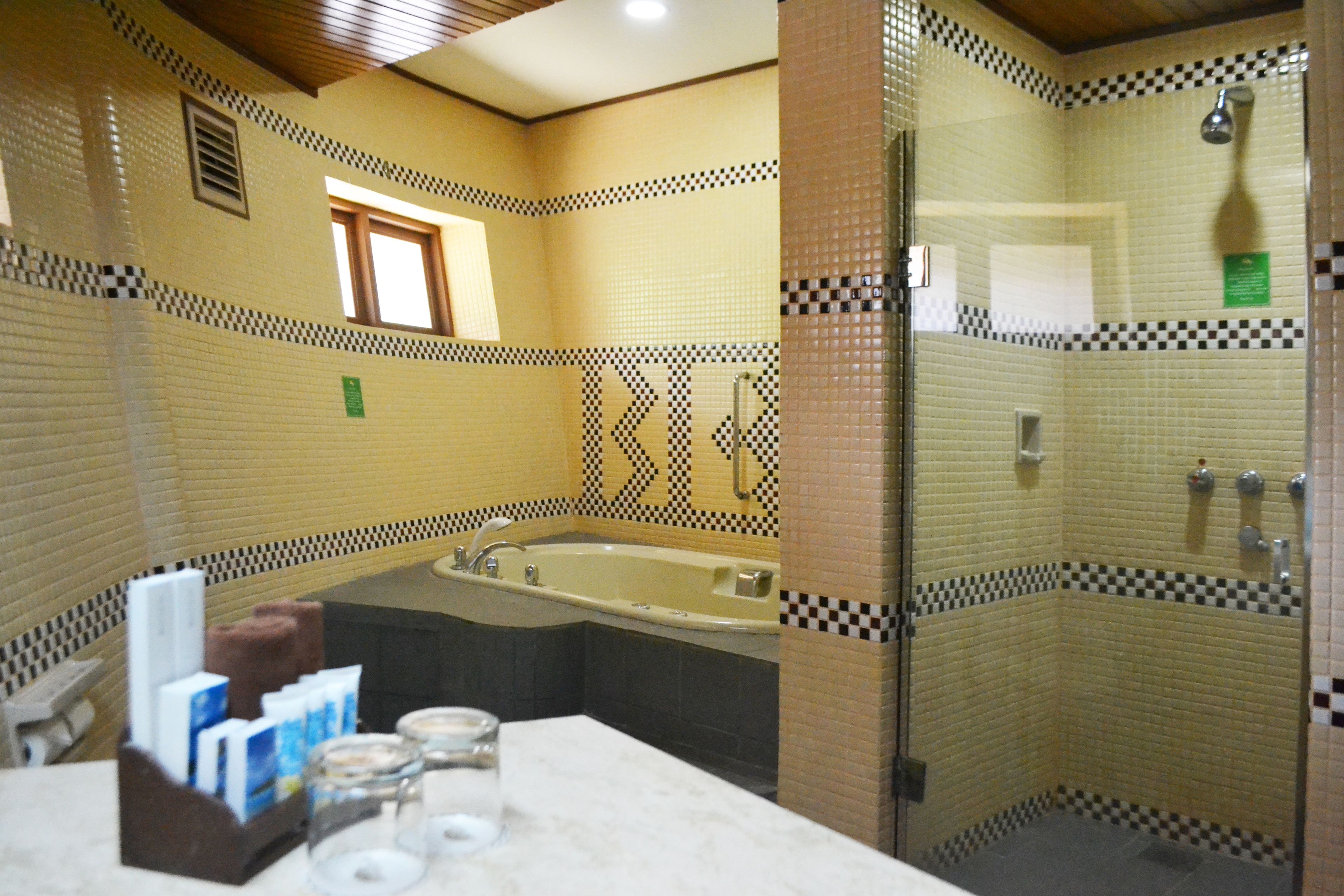 Une salle de bain équipée d’une baignoire, d’une douche et d’un meuble-lavabo avec des articles de toilette.