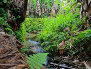 Jardín