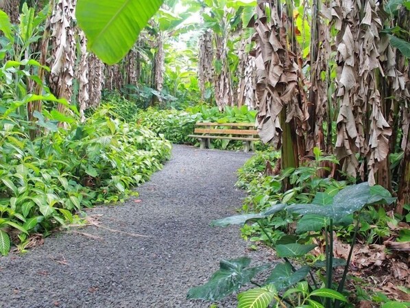Jardin