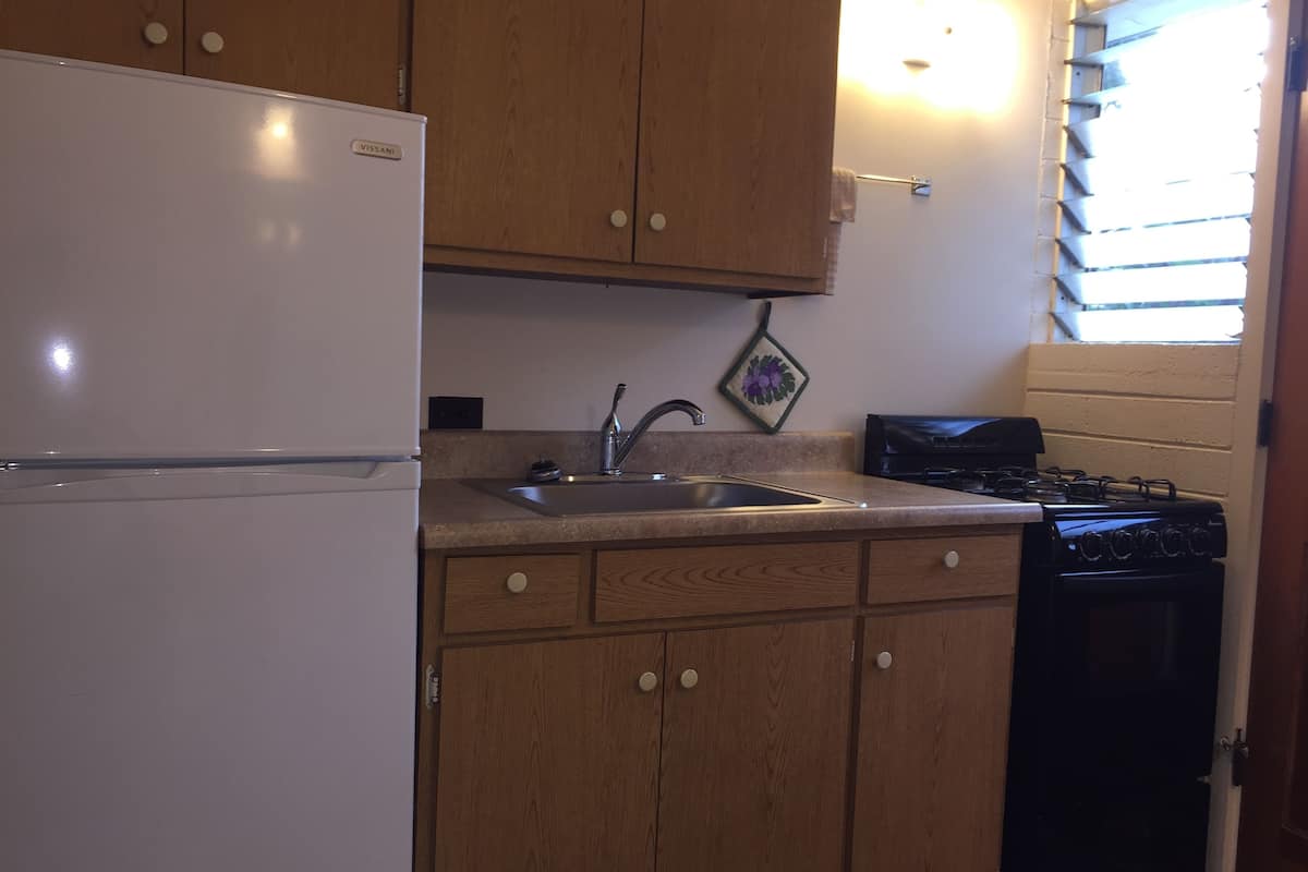 family apartment, 1 bedroom, kitchen | private kitchen | fridge, microwave, stovetop, coffee/tea maker