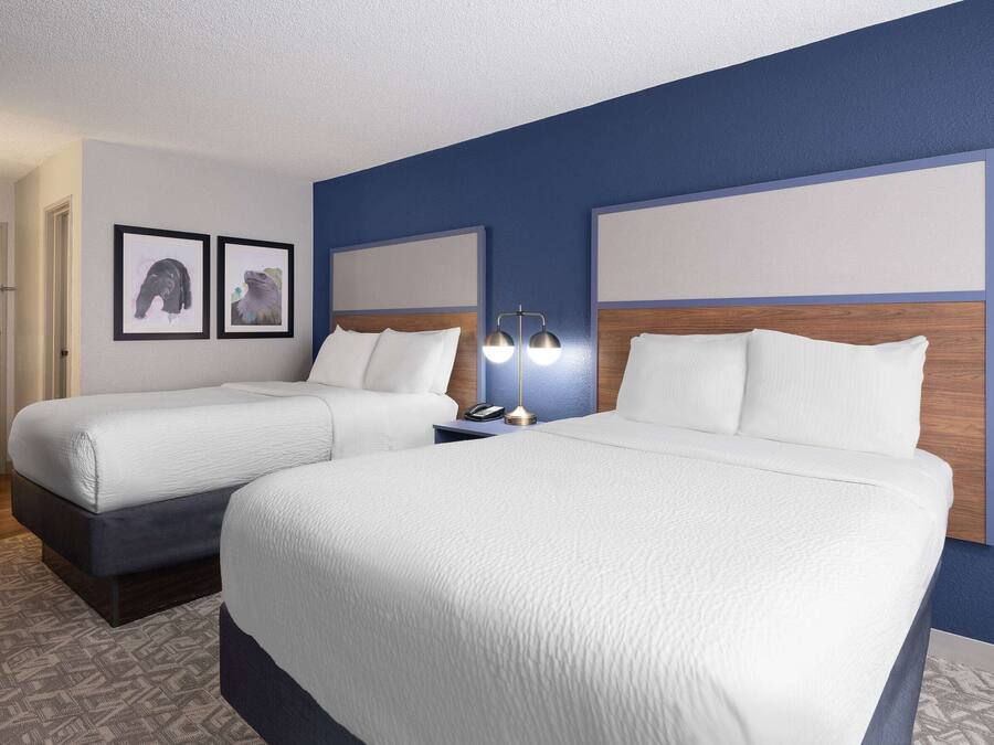 Habitació d'hotel amb dos llits, una tauleta de nit amb una làmpada i dos quadres al mur.