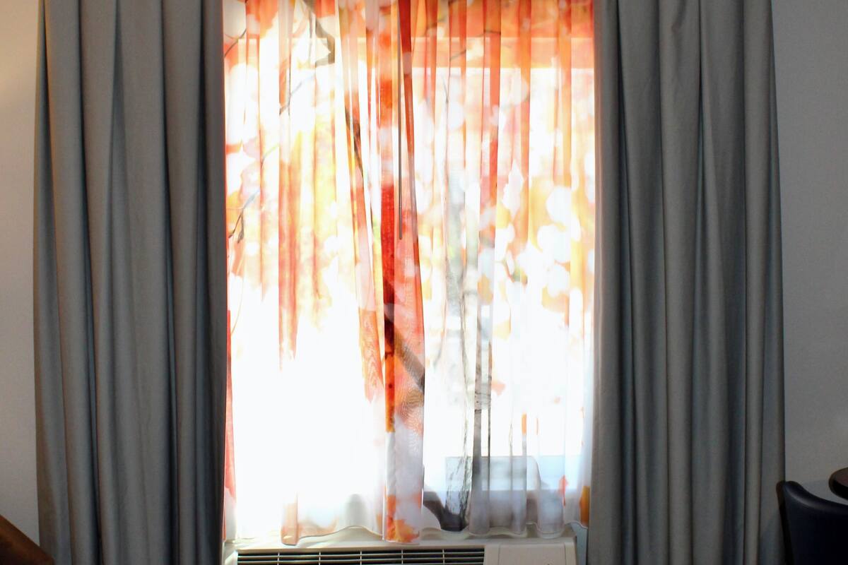 Desk, blackout curtains, iron/ironing board, free WiFi