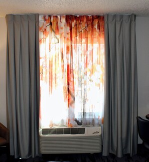 Desk, blackout drapes, iron/ironing board, free WiFi