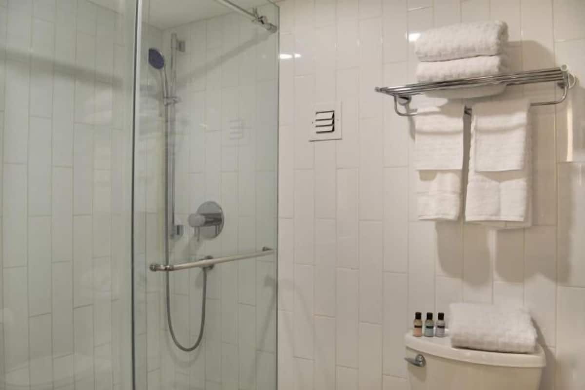 Shower, free toiletries, hair dryer, towels