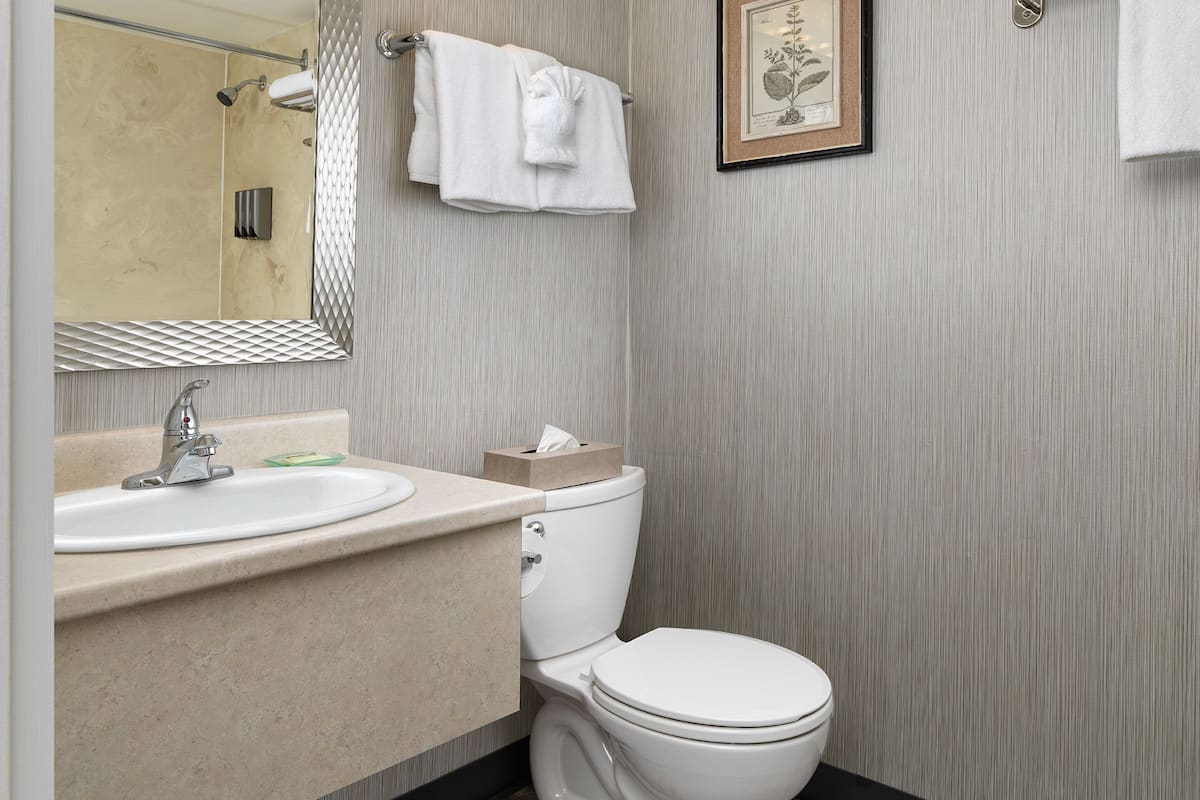 Family Suite | Bathroom | Combined shower/bathtub, eco-friendly toiletries, hair dryer, towels