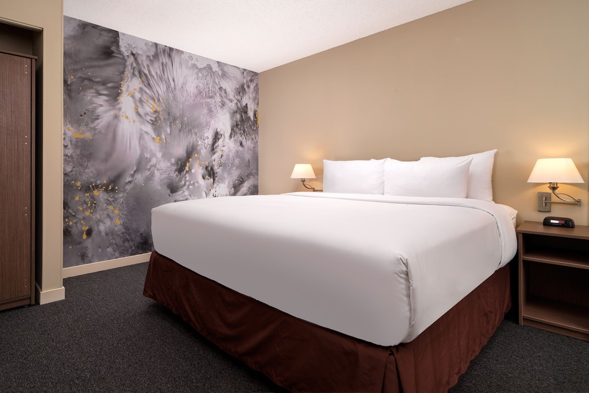 Superior Studio Suite | 1 bedroom, in-room safe, desk, laptop workspace