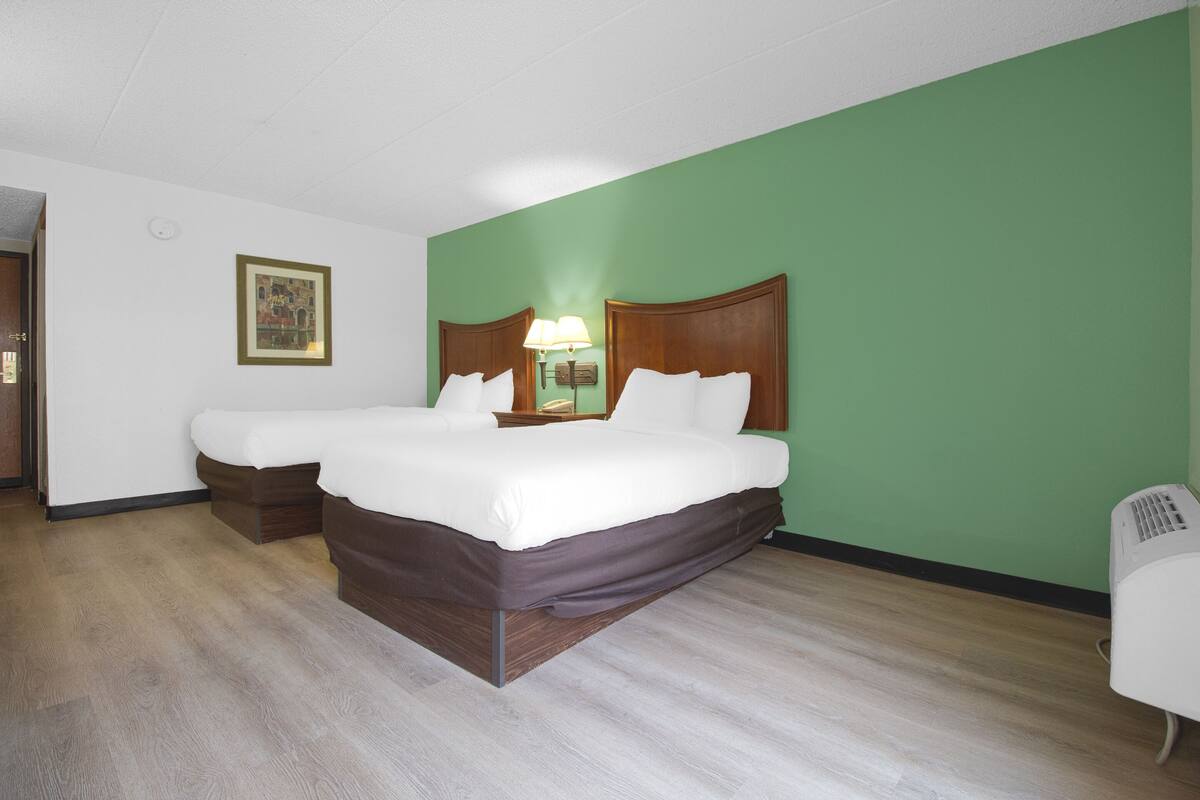 A hotel room with a double bed, a bedside table with a lamp, a small wooden bench, and a green wall.