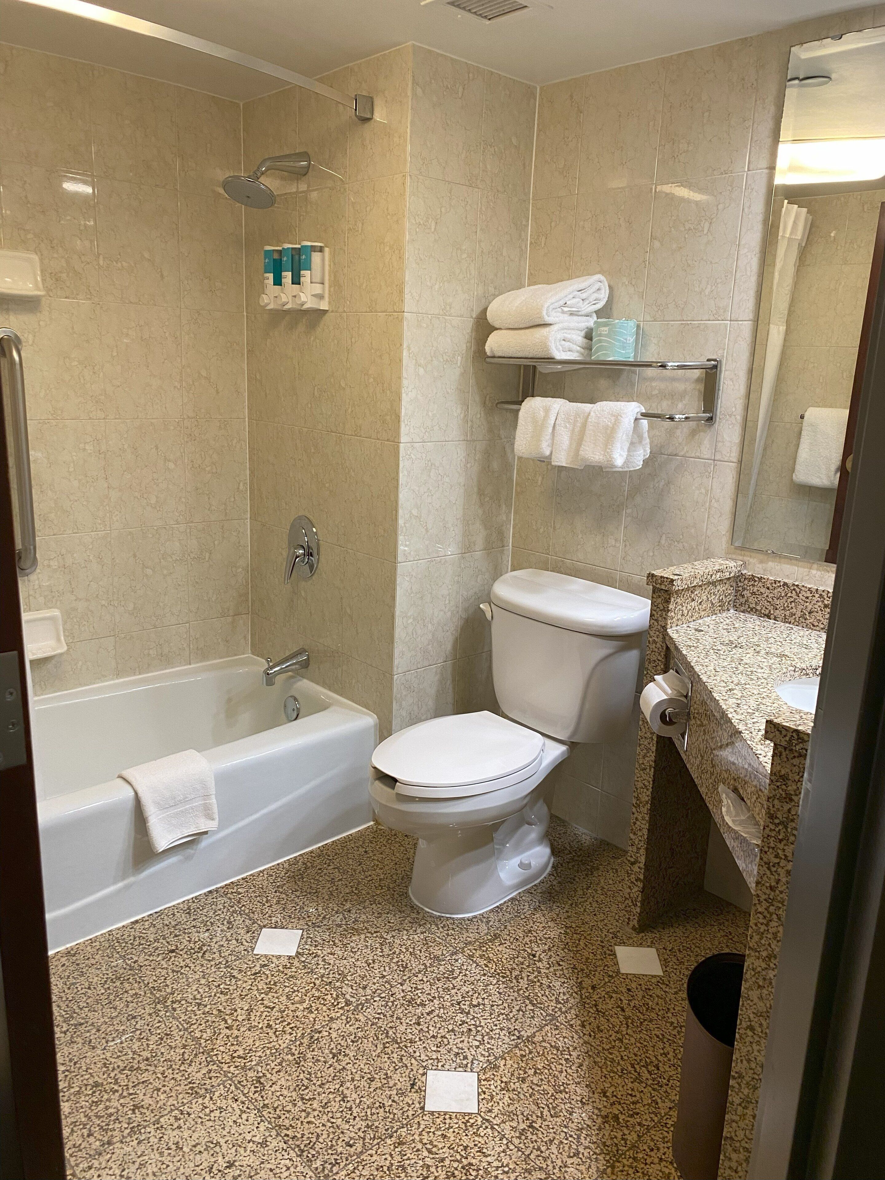 combined shower/bathtub, free toiletries, hair dryer, towels