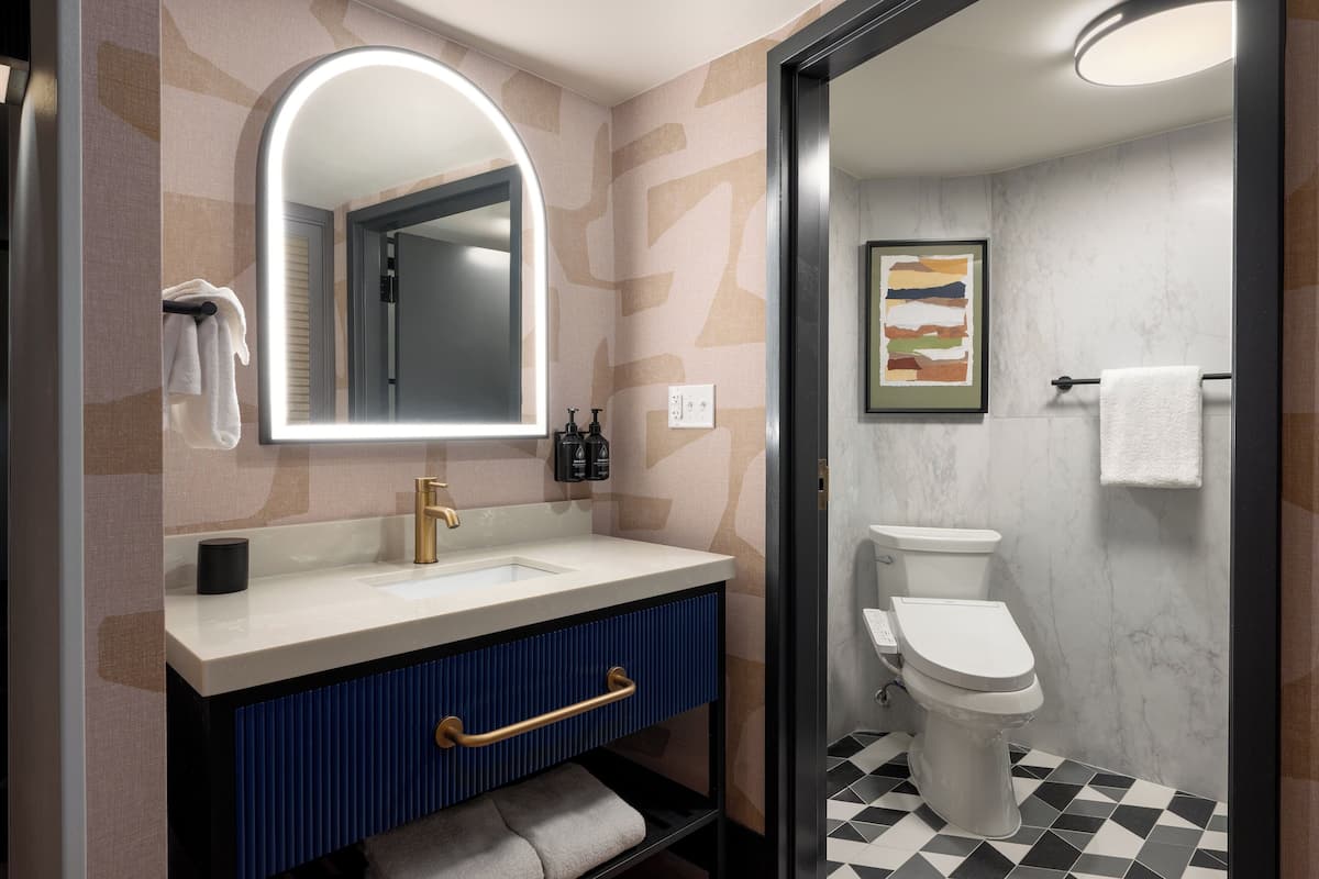 Combined shower/tub, free toiletries, hair dryer, towels