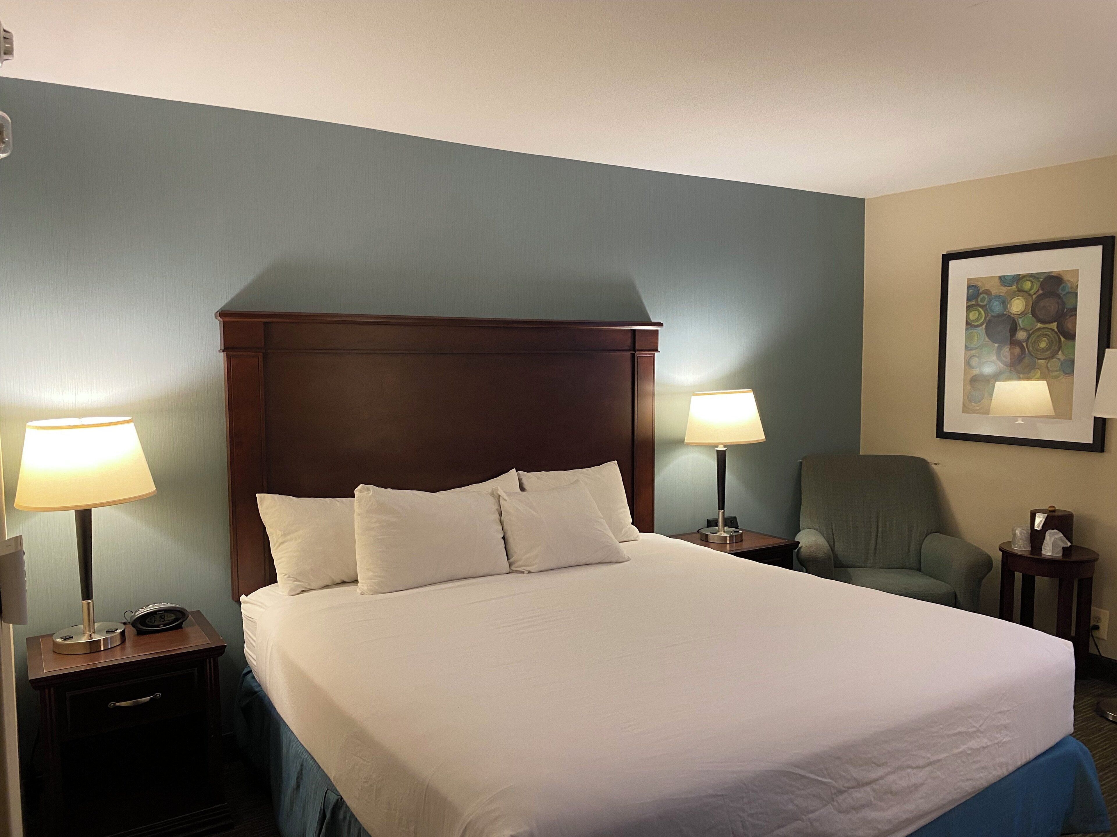 standard room, 1 king bed, mobility accessible | 1 bedroom, desk, laptop workspace, blackout curtains