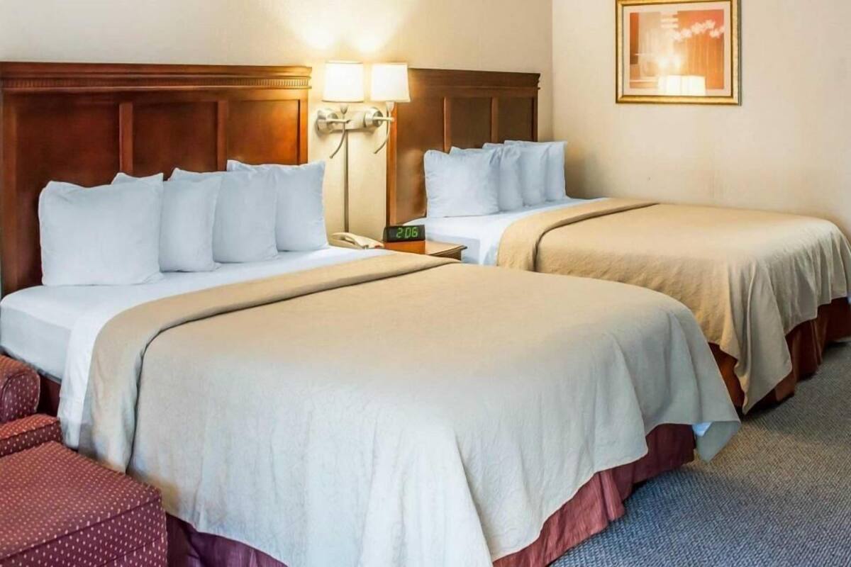 A hotel room with two beds, a nightstand, a lamp, a painting, and a carpeted floor.