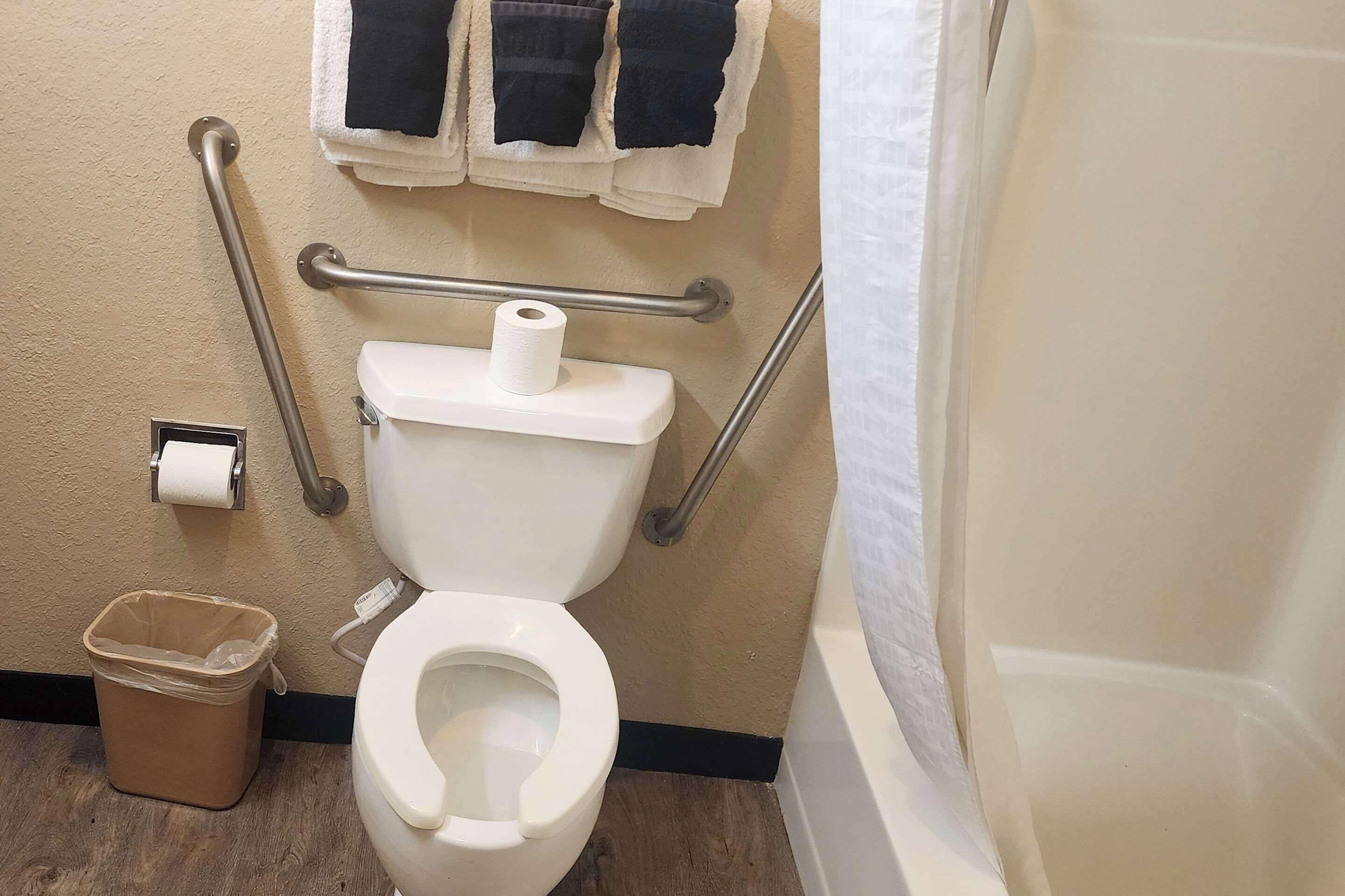 combined shower/bathtub, free toiletries, hair dryer, towels