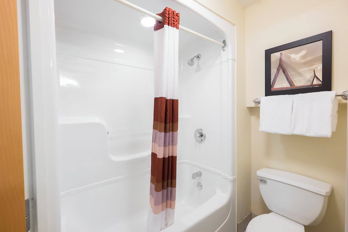 A bathroom with a bathtub, a shower curtain, a toilet, and a framed picture on the wall.