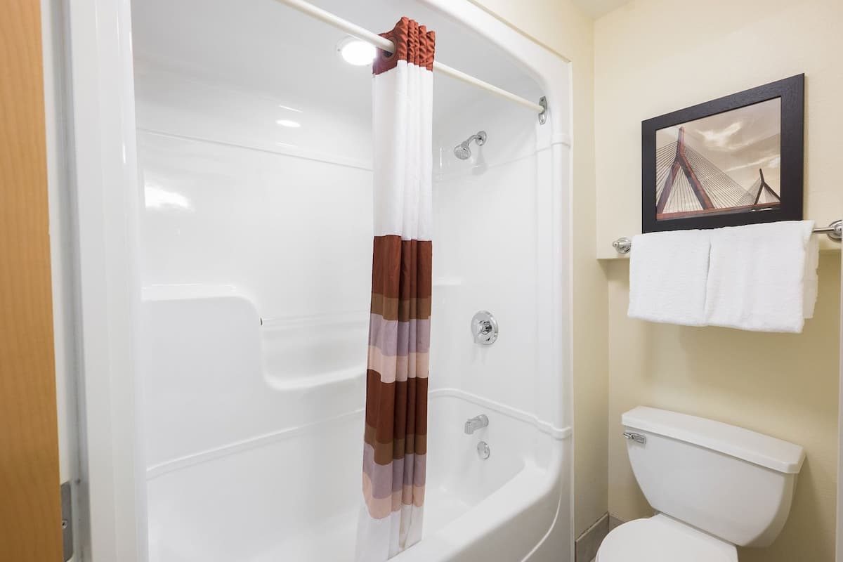 A shower with a striped curtain, a white bathtub, a toilet, and a framed picture on the wall.